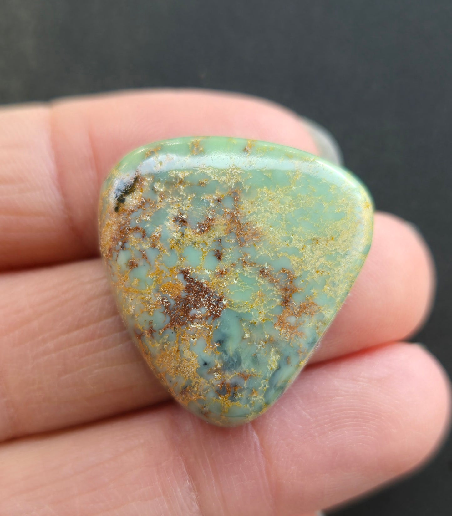 Blue Boy Variscite Cabochon