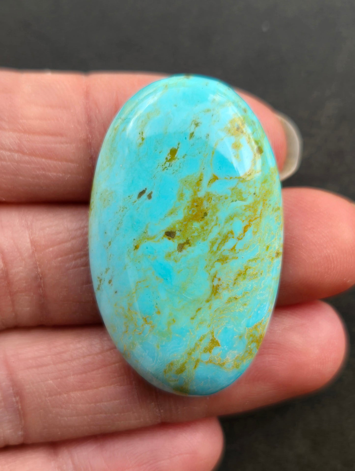 Patagonia Turquoise Cabochon