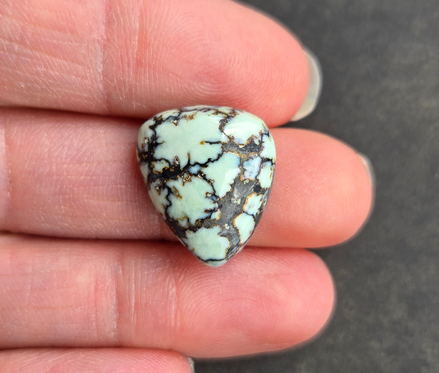 Saguaro Variscite Cabochon
