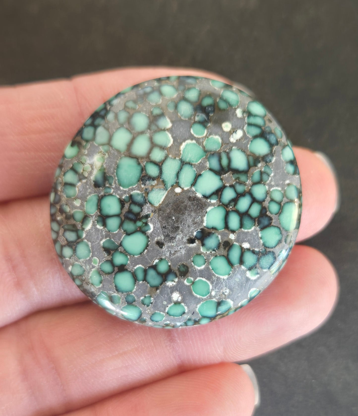 Blue Boy Variscite Cabochon