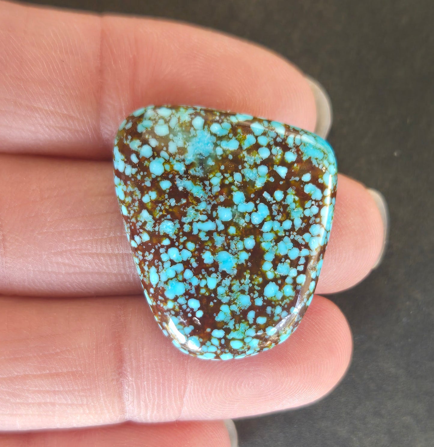 AAA Spiderweb Polychrome Kingman Turquoise Cabochon