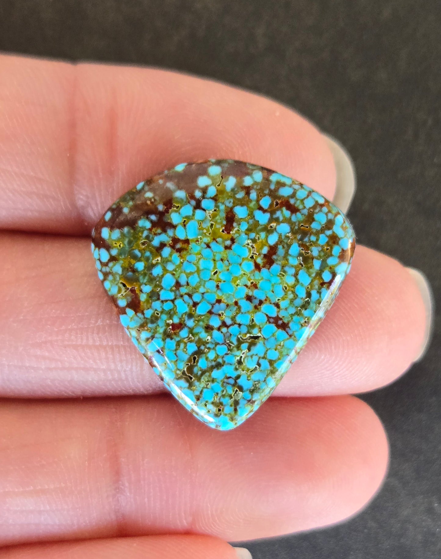 AAA Spiderweb Polychrome Kingman Turquoise Cabochon