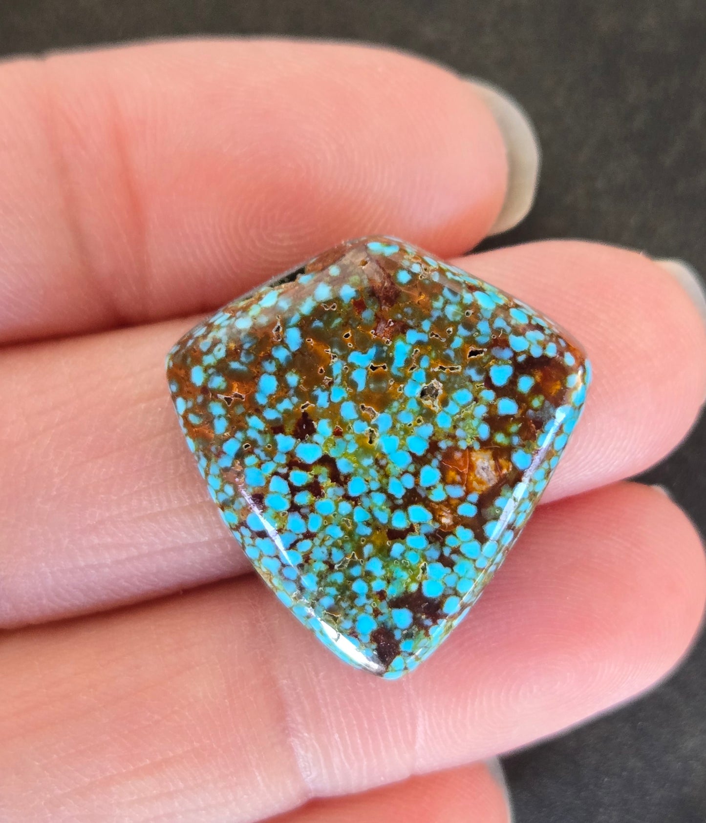 AAA Spiderweb Polychrome Kingman Turquoise Cabochon