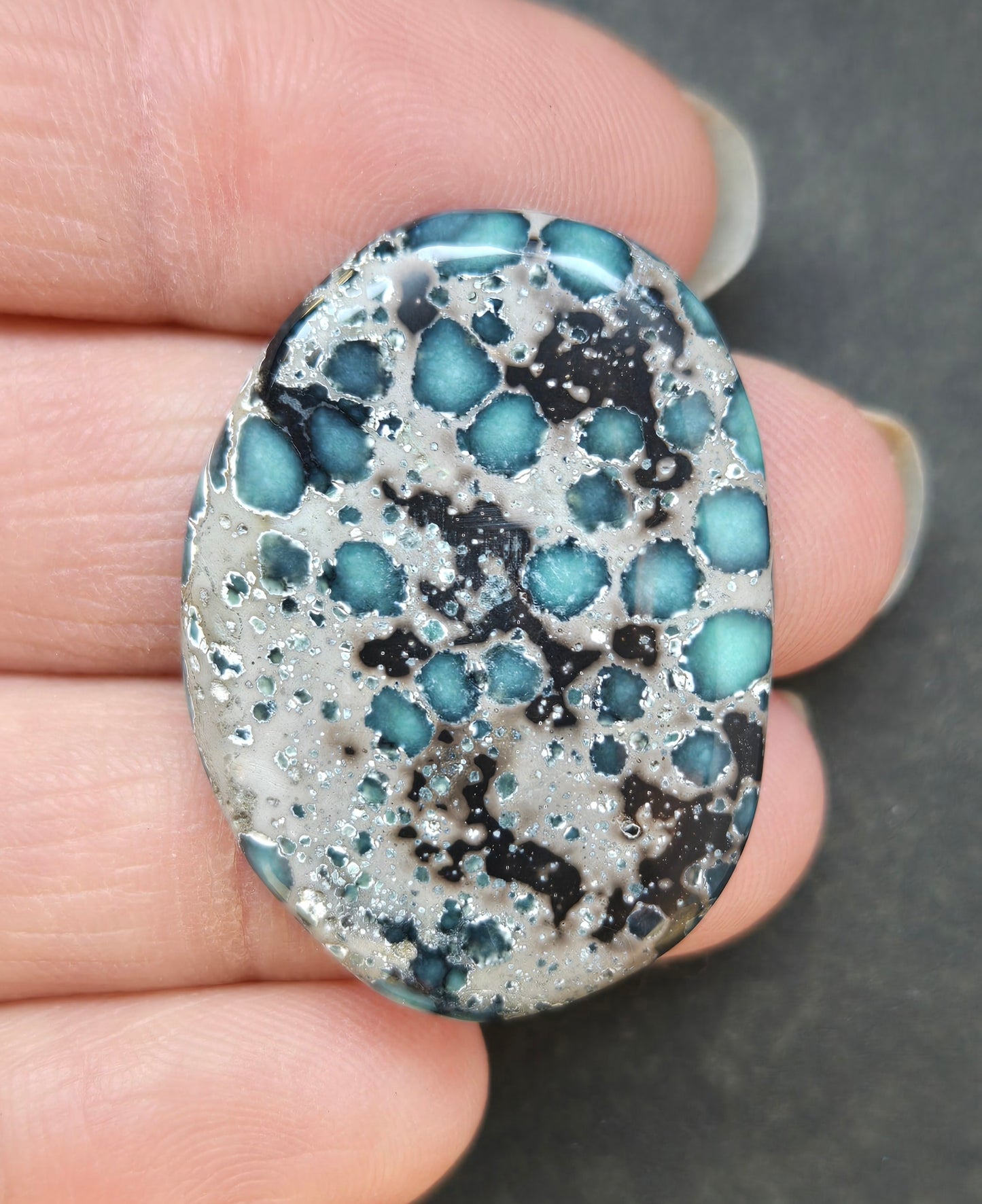 Antelope Hill Variscite Cabochon