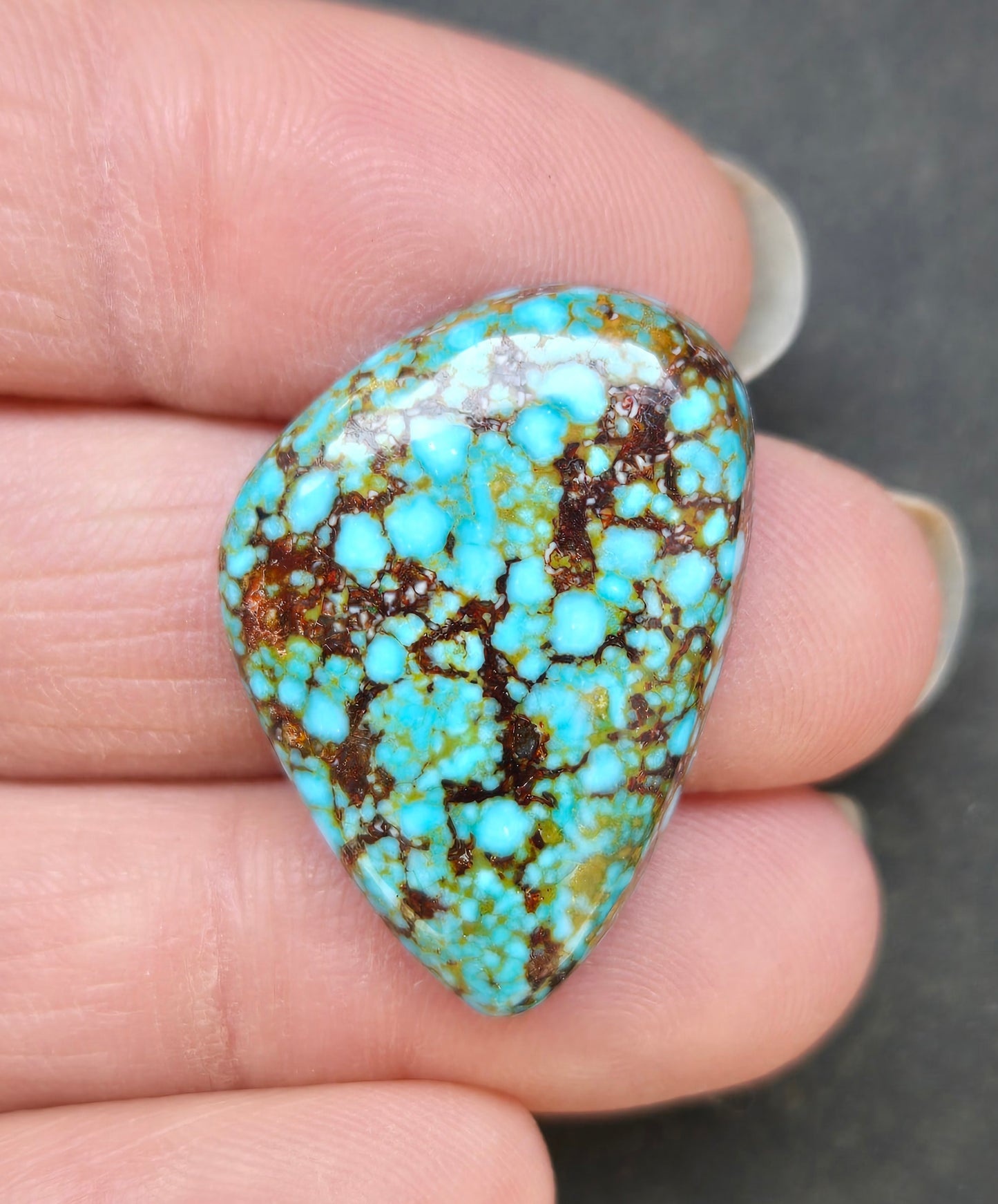 AAA Spiderweb Polychrome Kingman Turquoise Cabochon