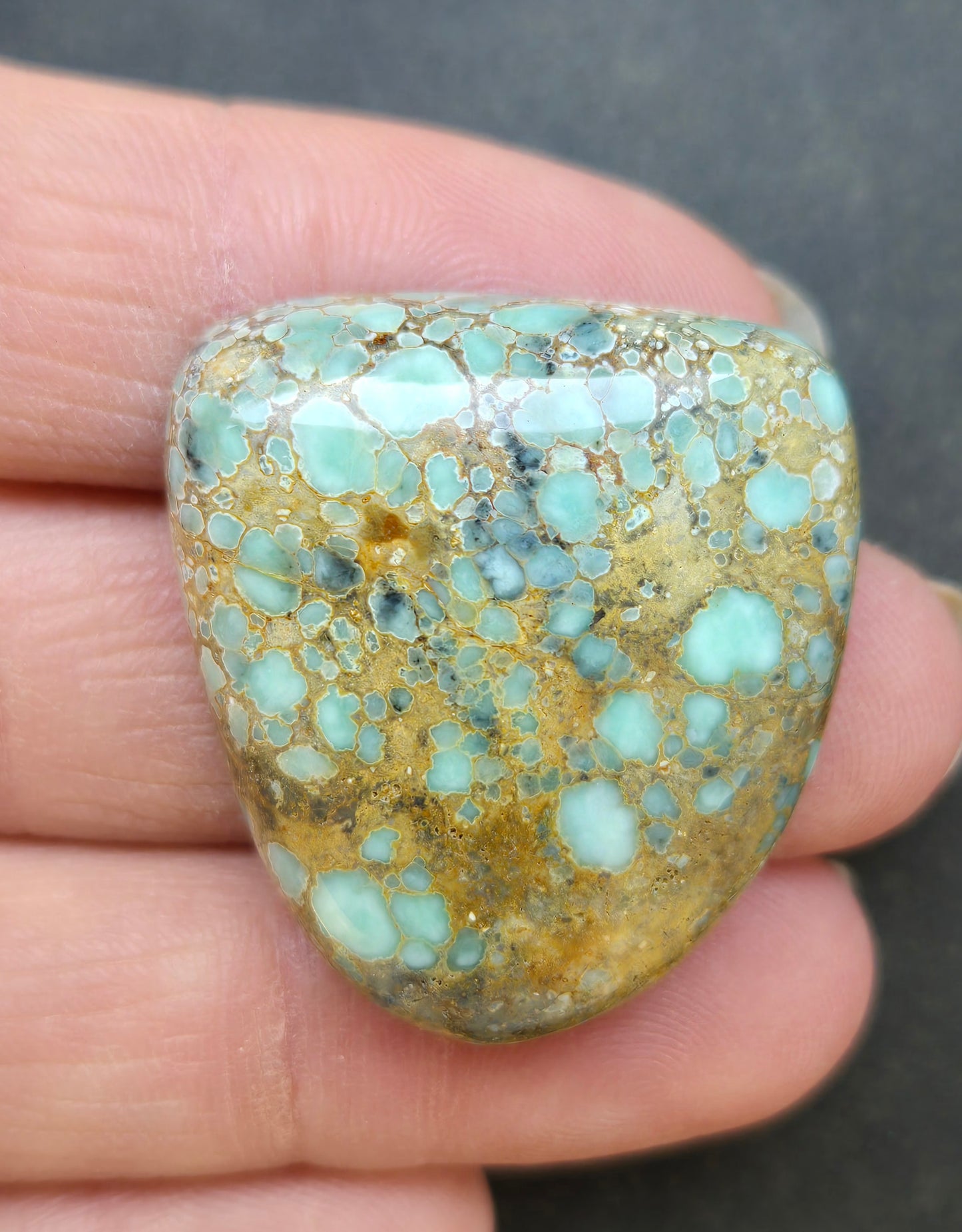 Desert Bloom Variscite Cabochon