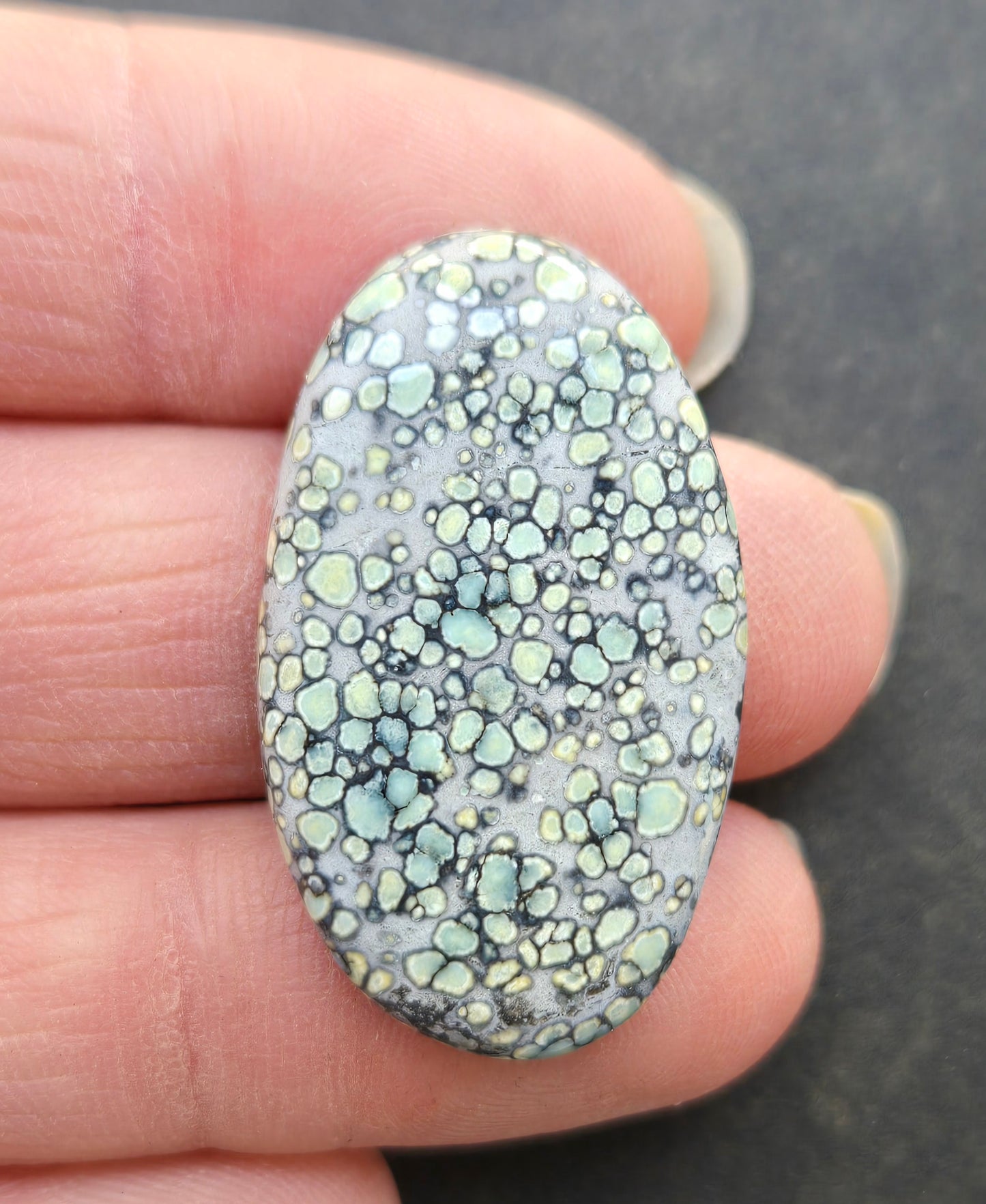 Desert Bloom Variscite Cabochon