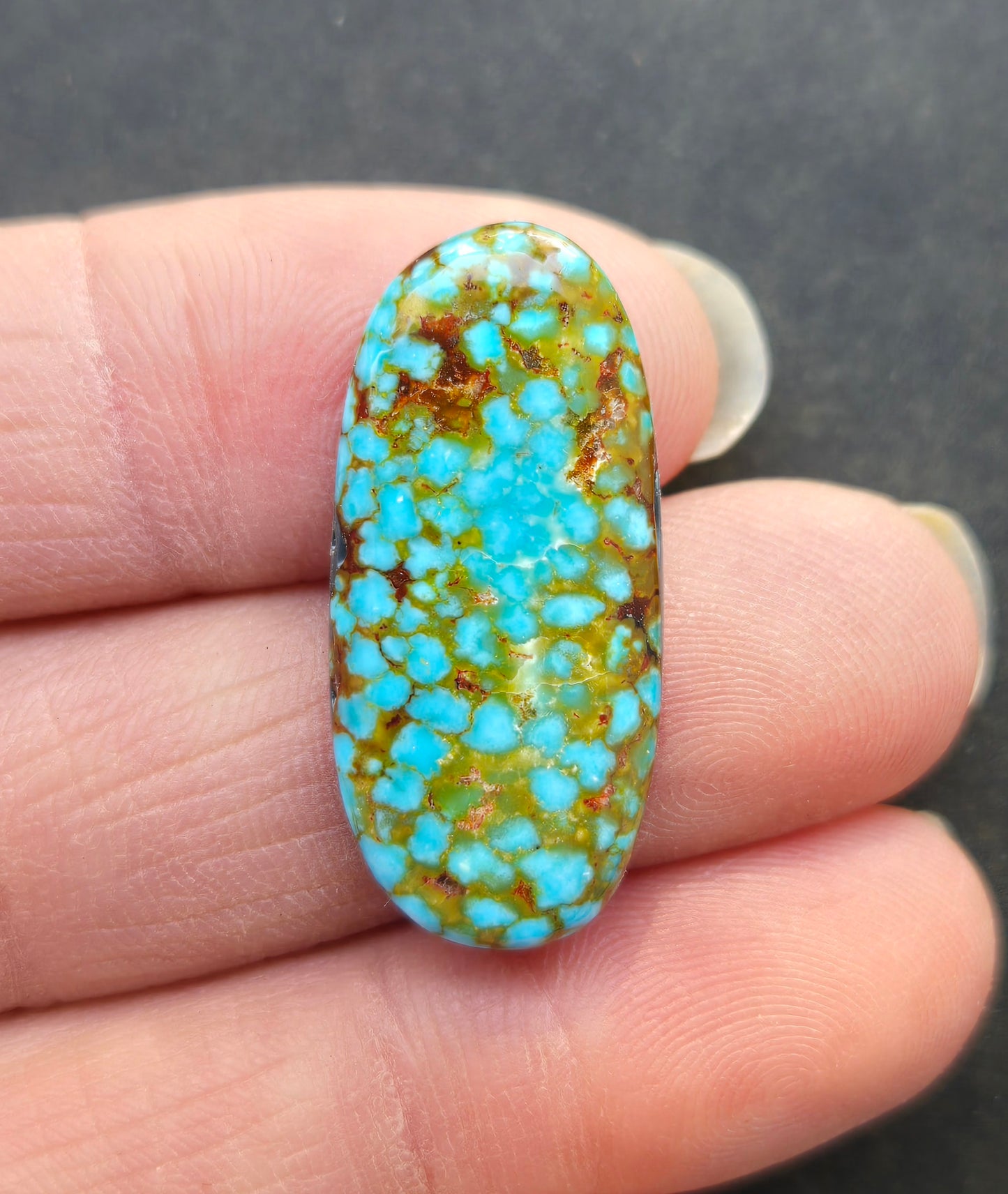 AAA Spiderweb Polychrome Kingman Turquoise Cabochon