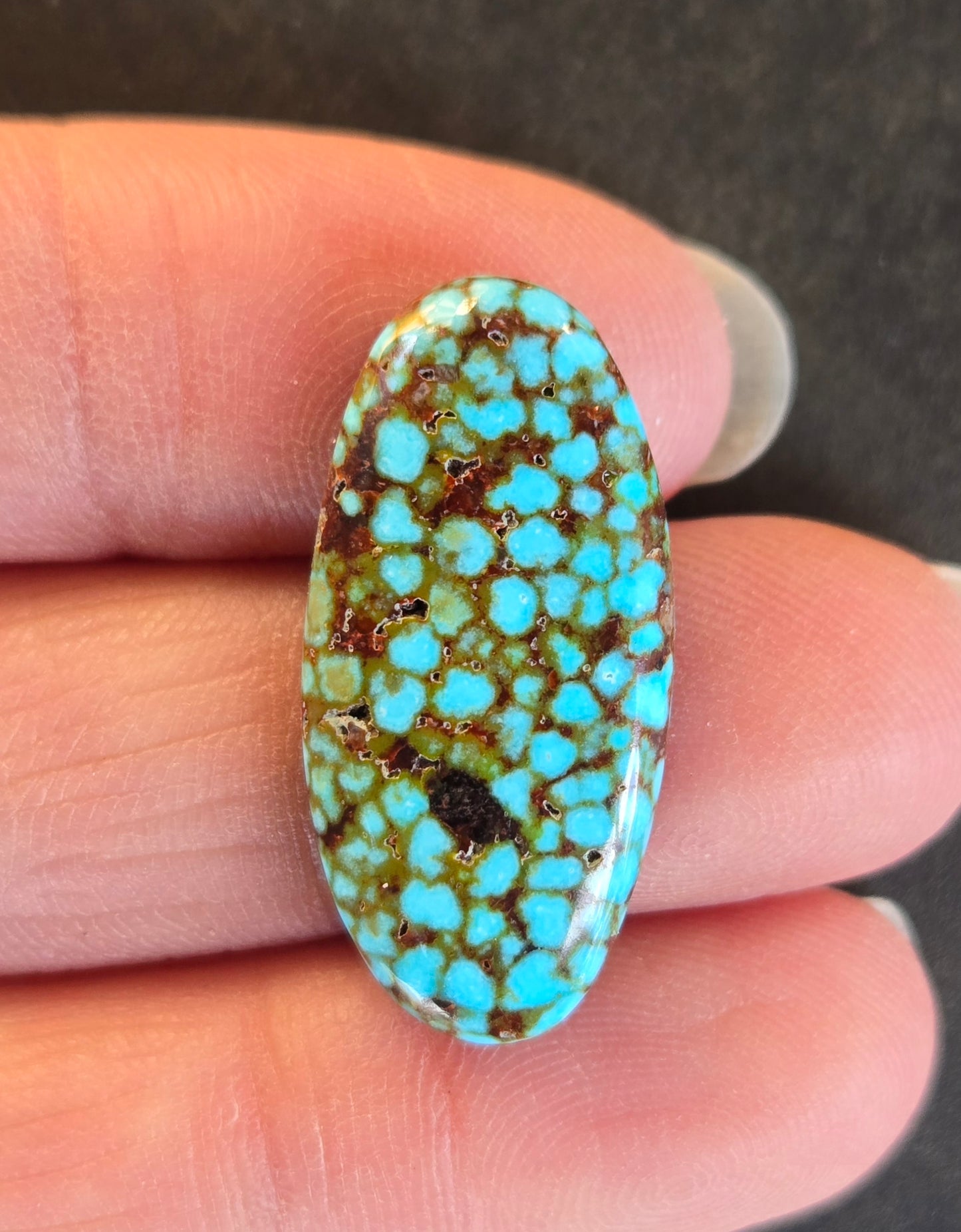 AAA Spiderweb Polychrome Kingman Turquoise Cabochon