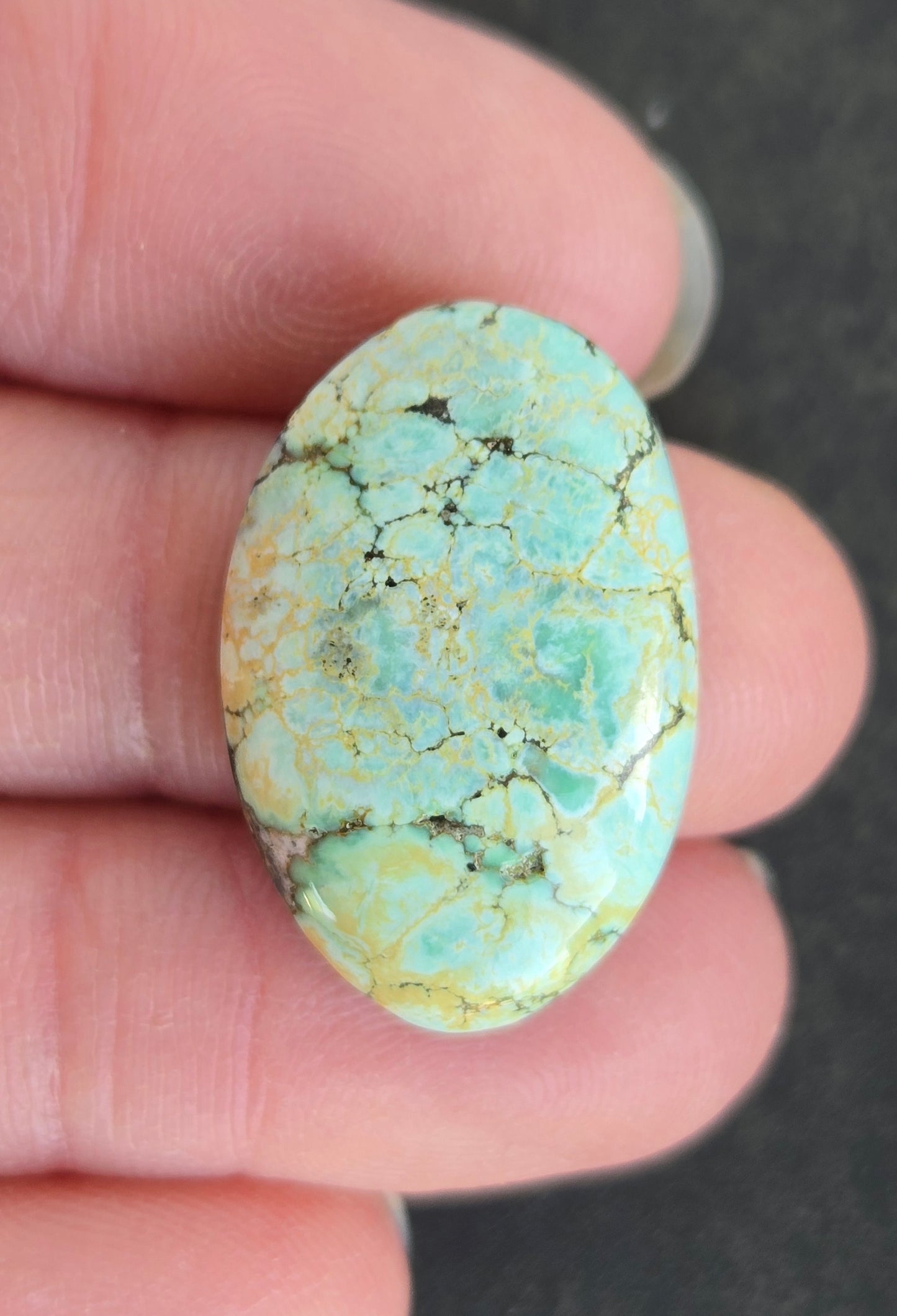 Seven Dwarfs Variscite Cabochon 7D