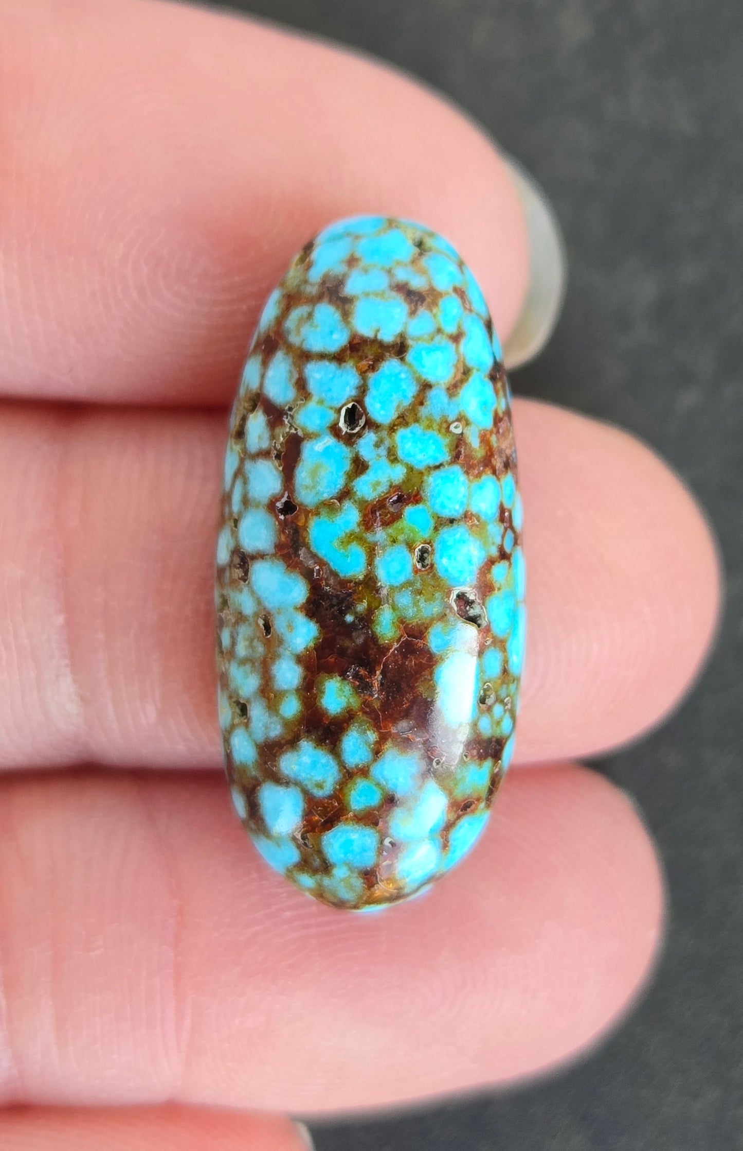 AAA Spiderweb Polychrome Kingman Turquoise Cabochon
