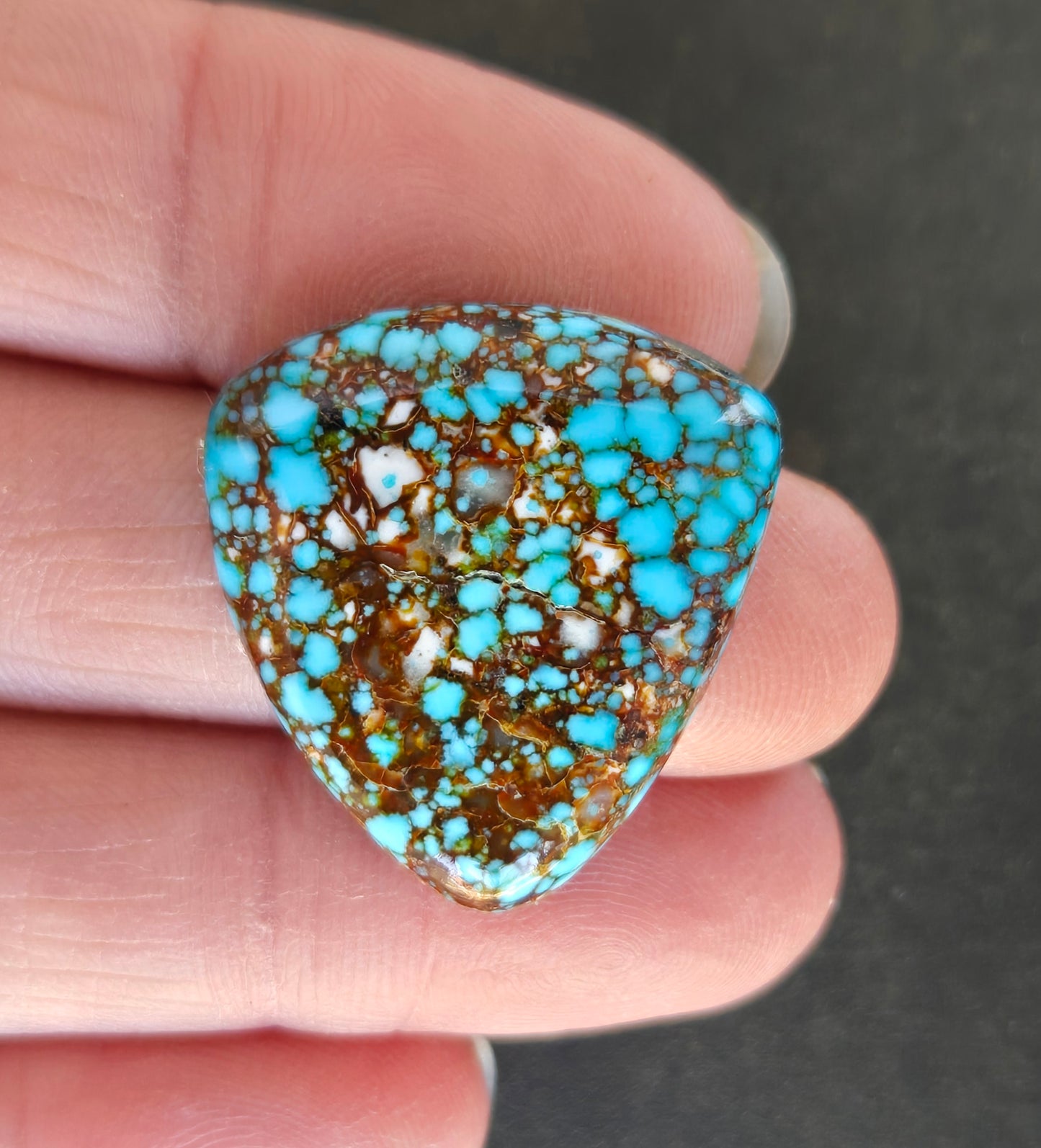 AAA Spiderweb Polychrome Kingman Turquoise Cabochon