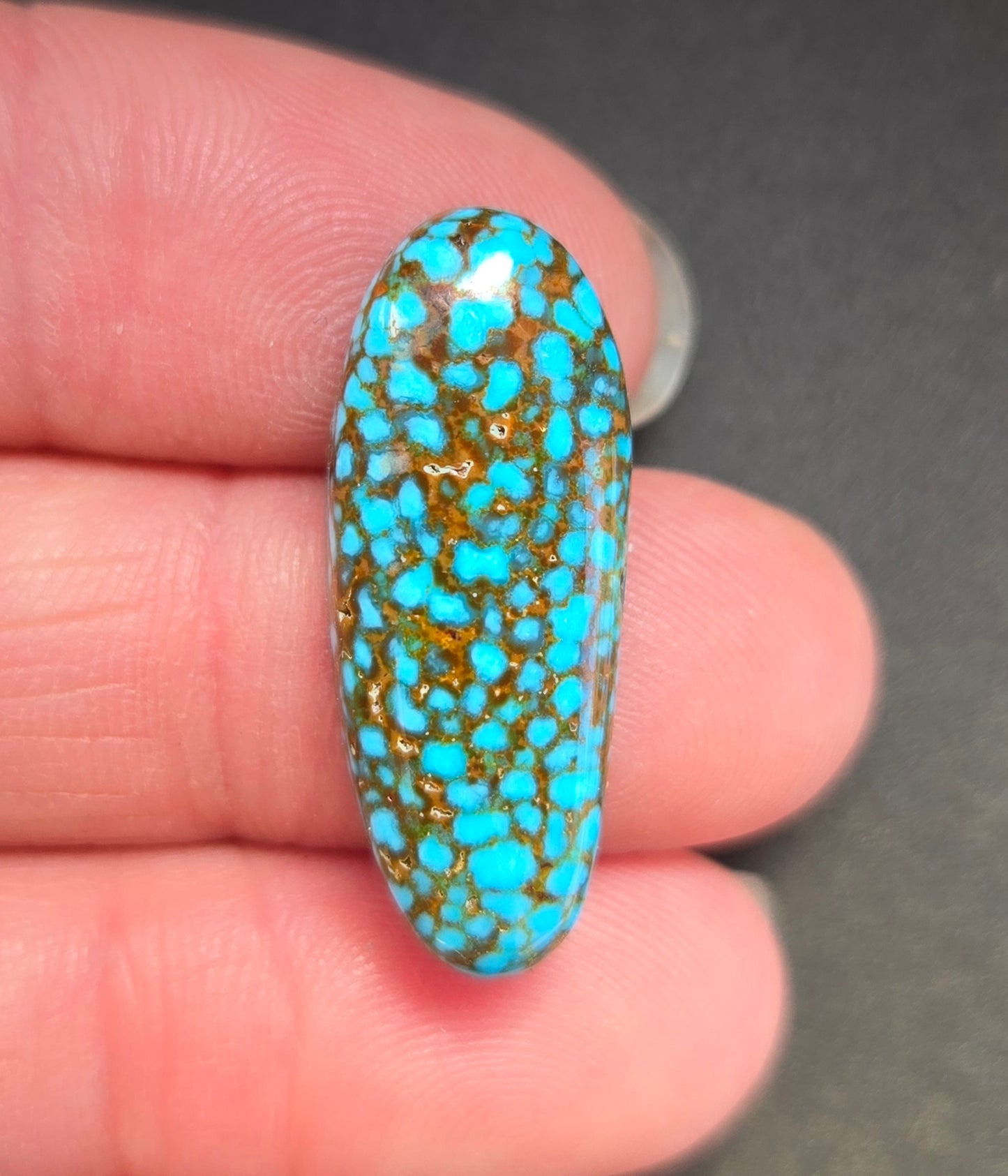 AAA Spiderweb Polychrome Kingman Turquoise Cabochon