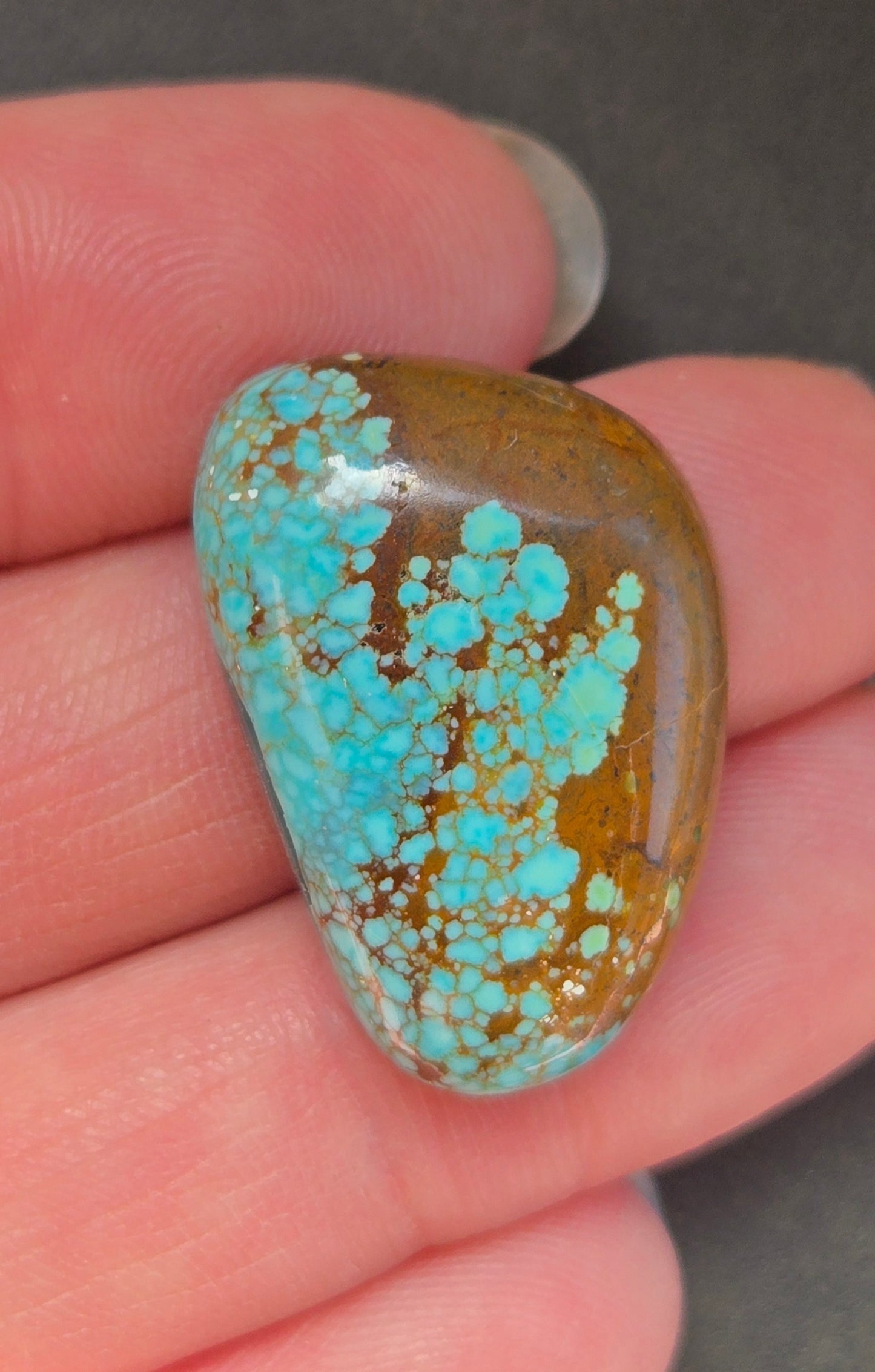 Number 8 Mine Turquoise Cabochon
