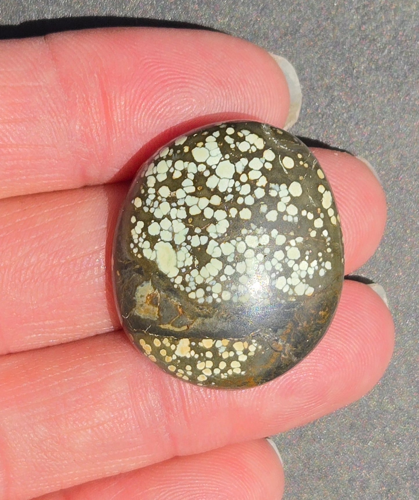 Turtleback Variscite Cabochon