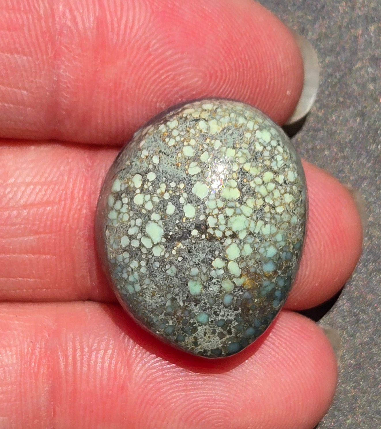 Turtleback Variscite Cabochon