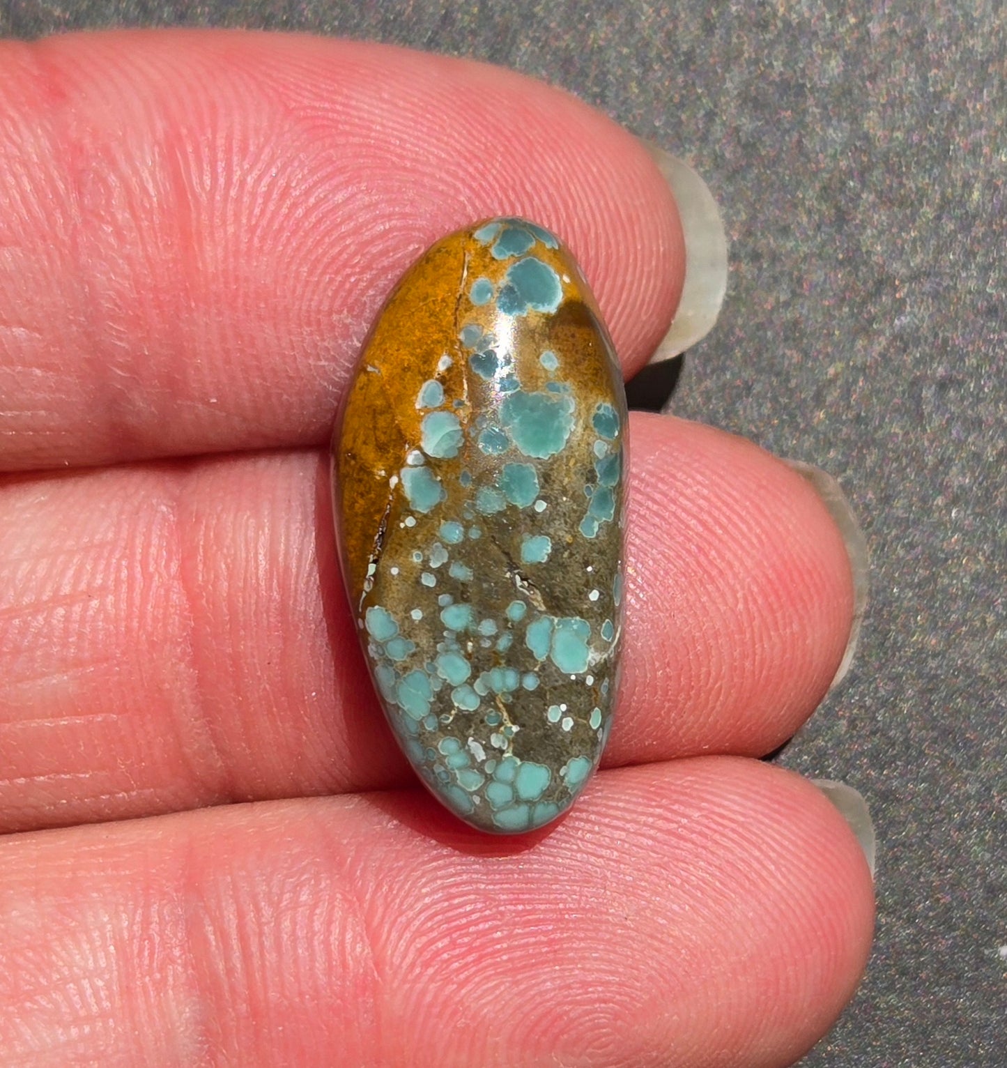 Turtleback Variscite Cabochon