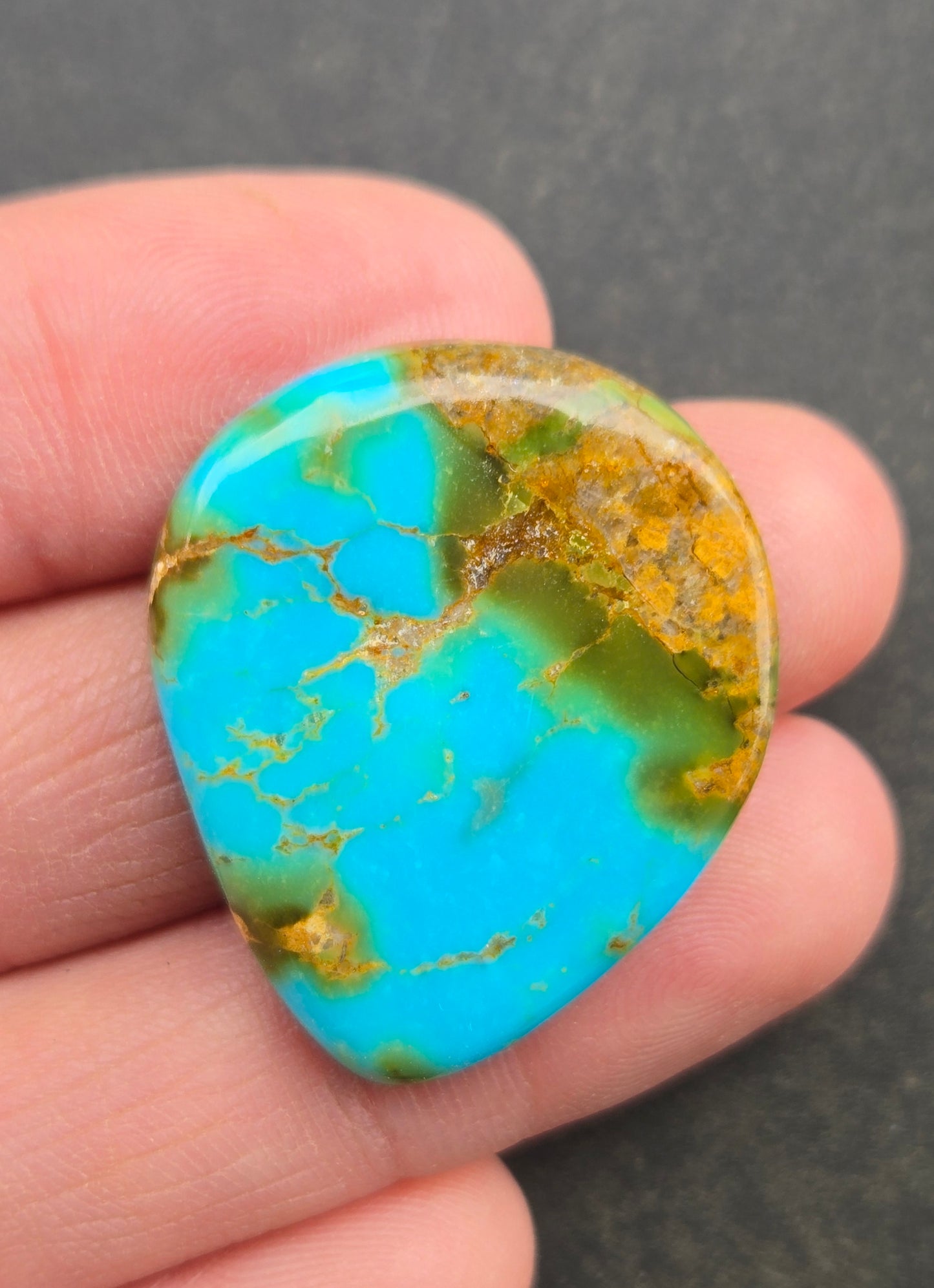 AAA Kingman Rising Phoenix Turquoise Cabochon