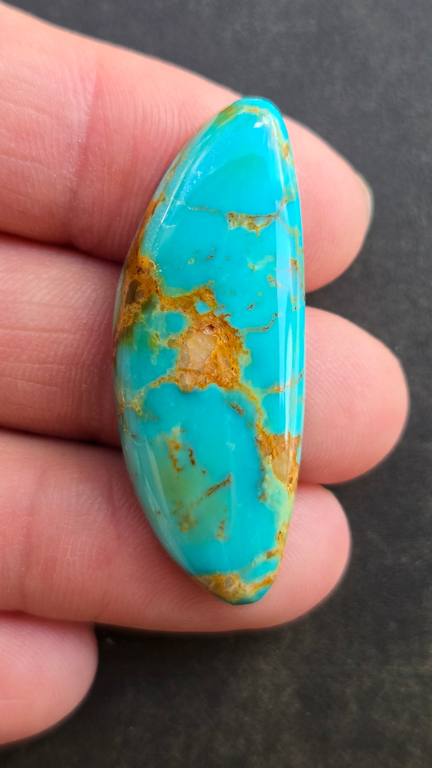 AAA Kingman Rising Phoenix Turquoise Cabochon