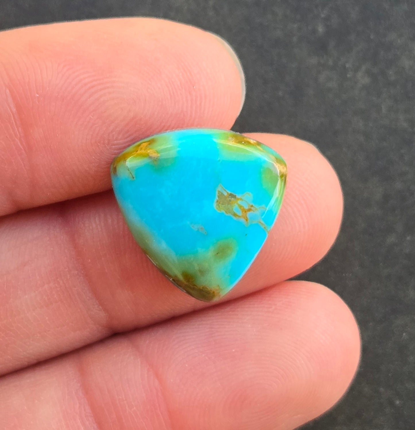 AAA Kingman Rising Phoenix Turquoise Cabochon