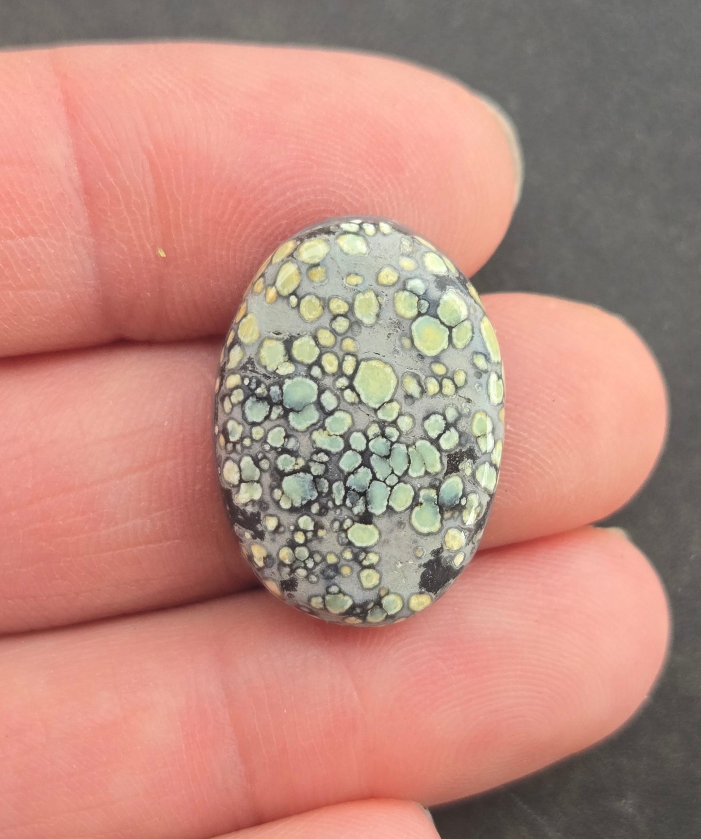 Desert Bloom Variscite Cabochon