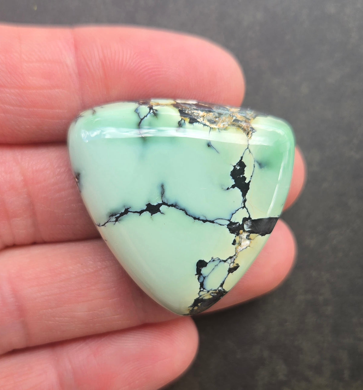 Gecko Variscite Cabochon