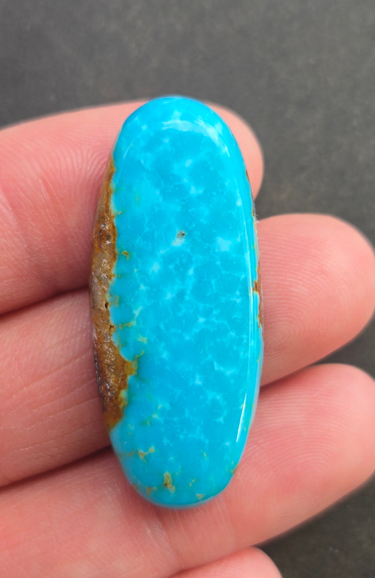 AAA Kingman Rising Phoenix Turquoise Cabochon
