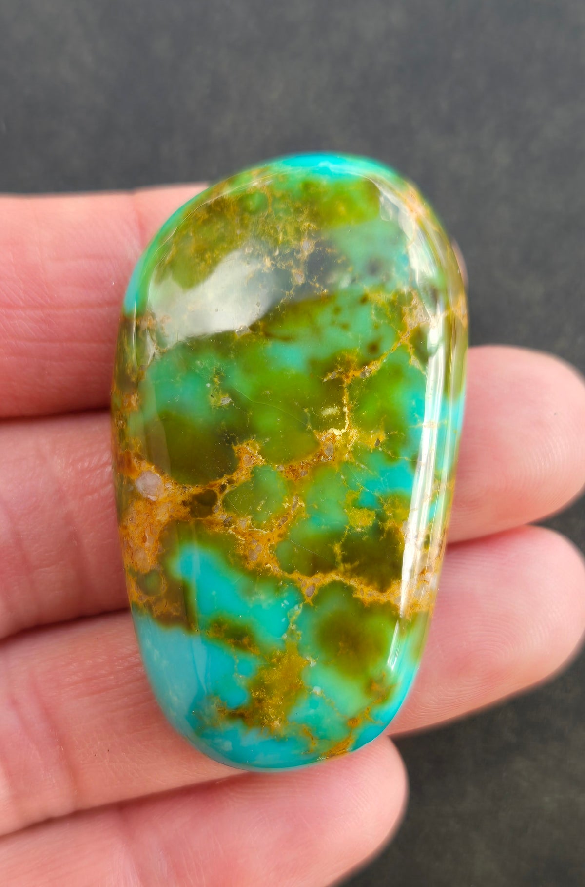 AAA Kingman Rising Phoenix Turquoise Cabochon