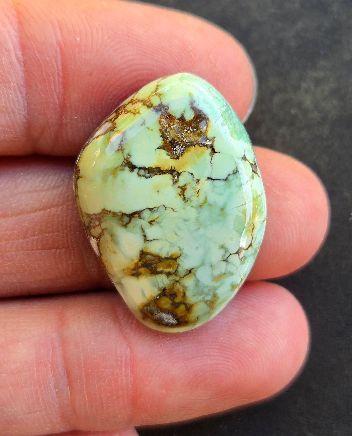 Seven Dwarfs Variscite Cabochon 7D