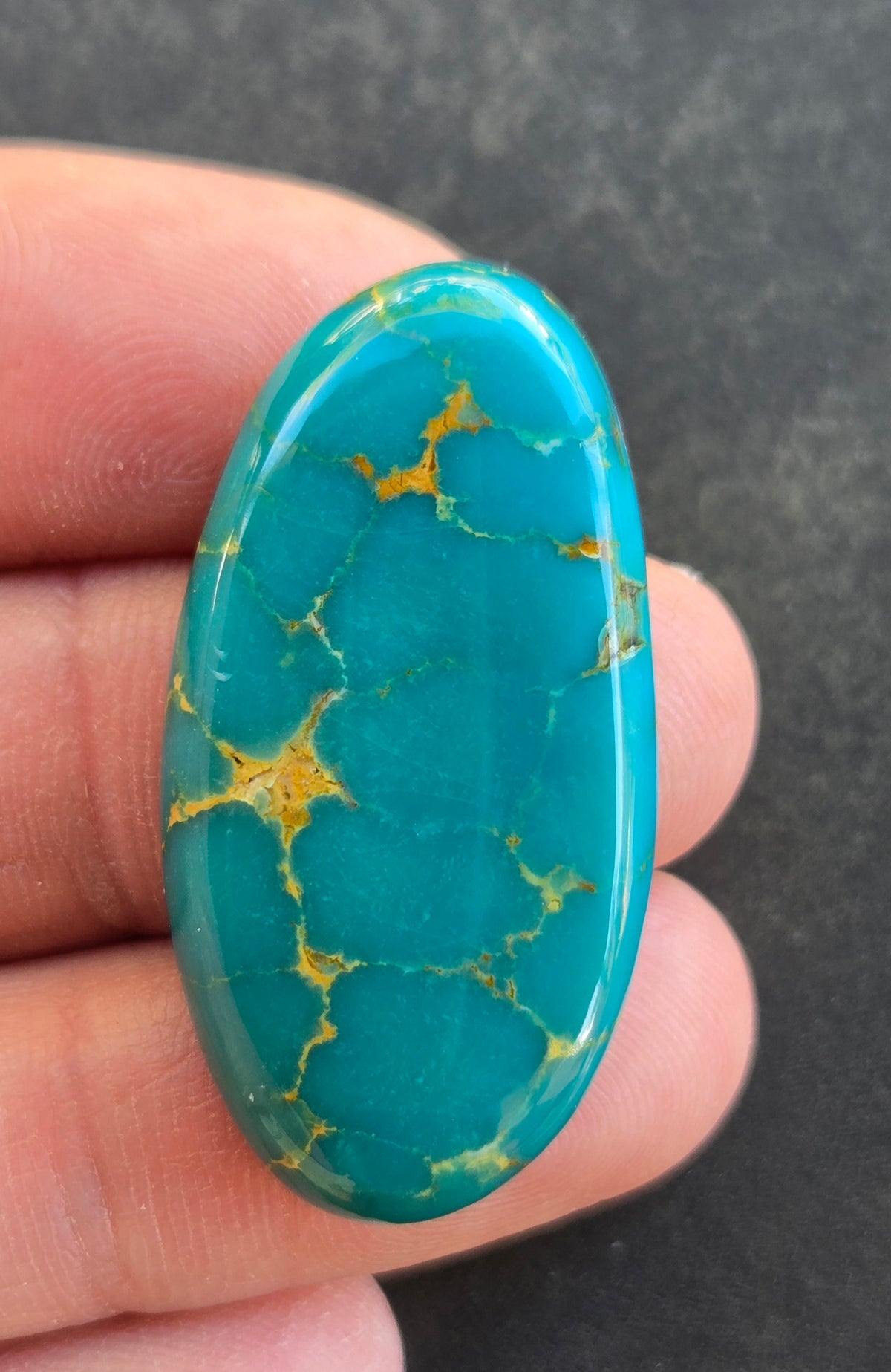 Golden Phoenix Turquoise (Hardy Pit) Cabochon