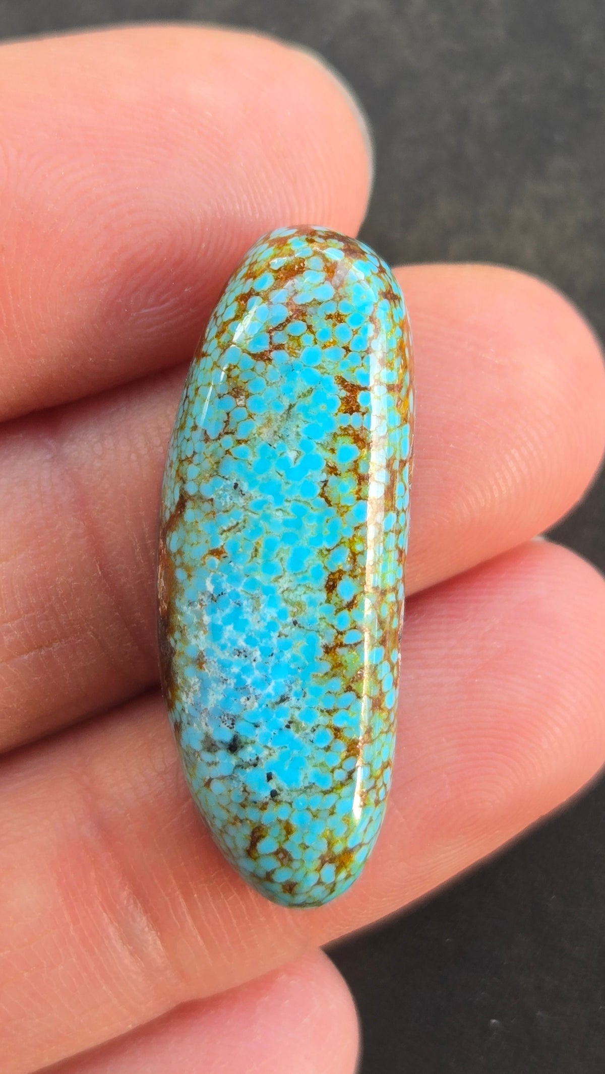 AAA Spiderweb Polychrome Kingman Turquoise Cabochon