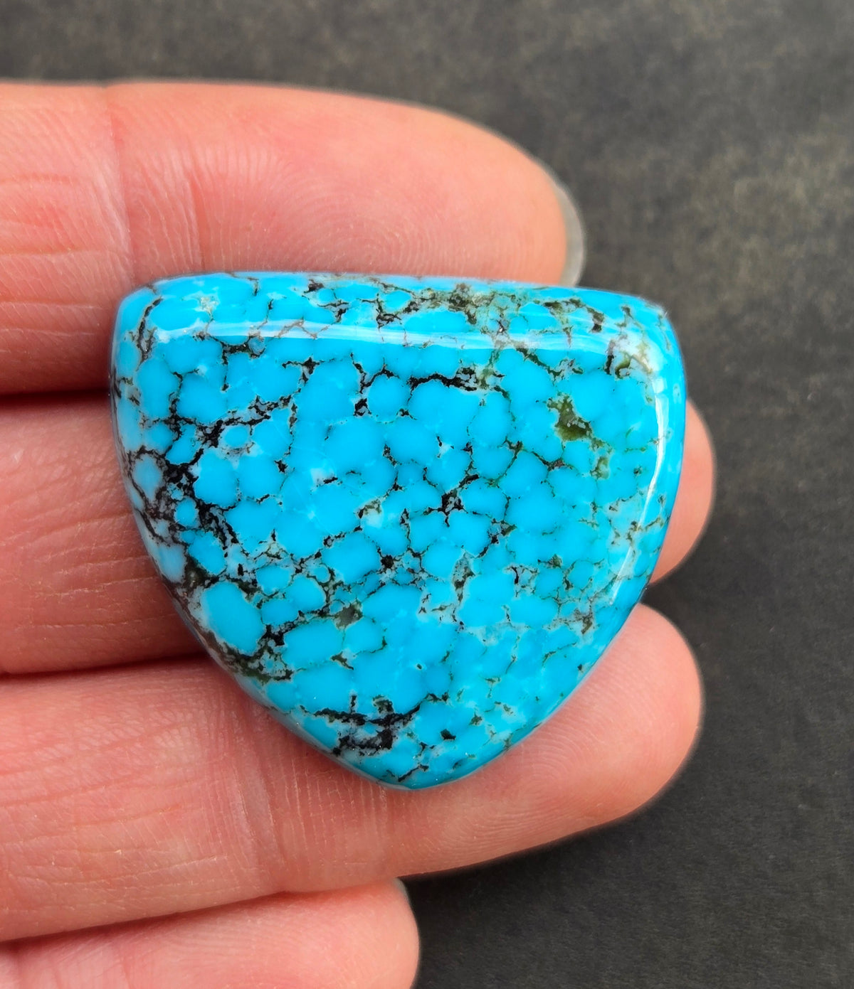 AAA Kingman Kaolin Turquoise Cabochon