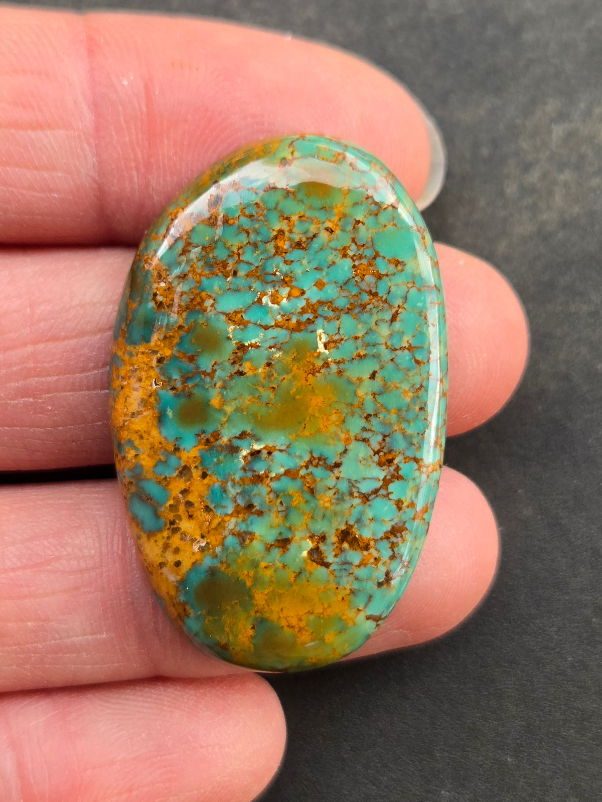 AAA Kingman Polychrome Ceremonial Turquoise Cabochon