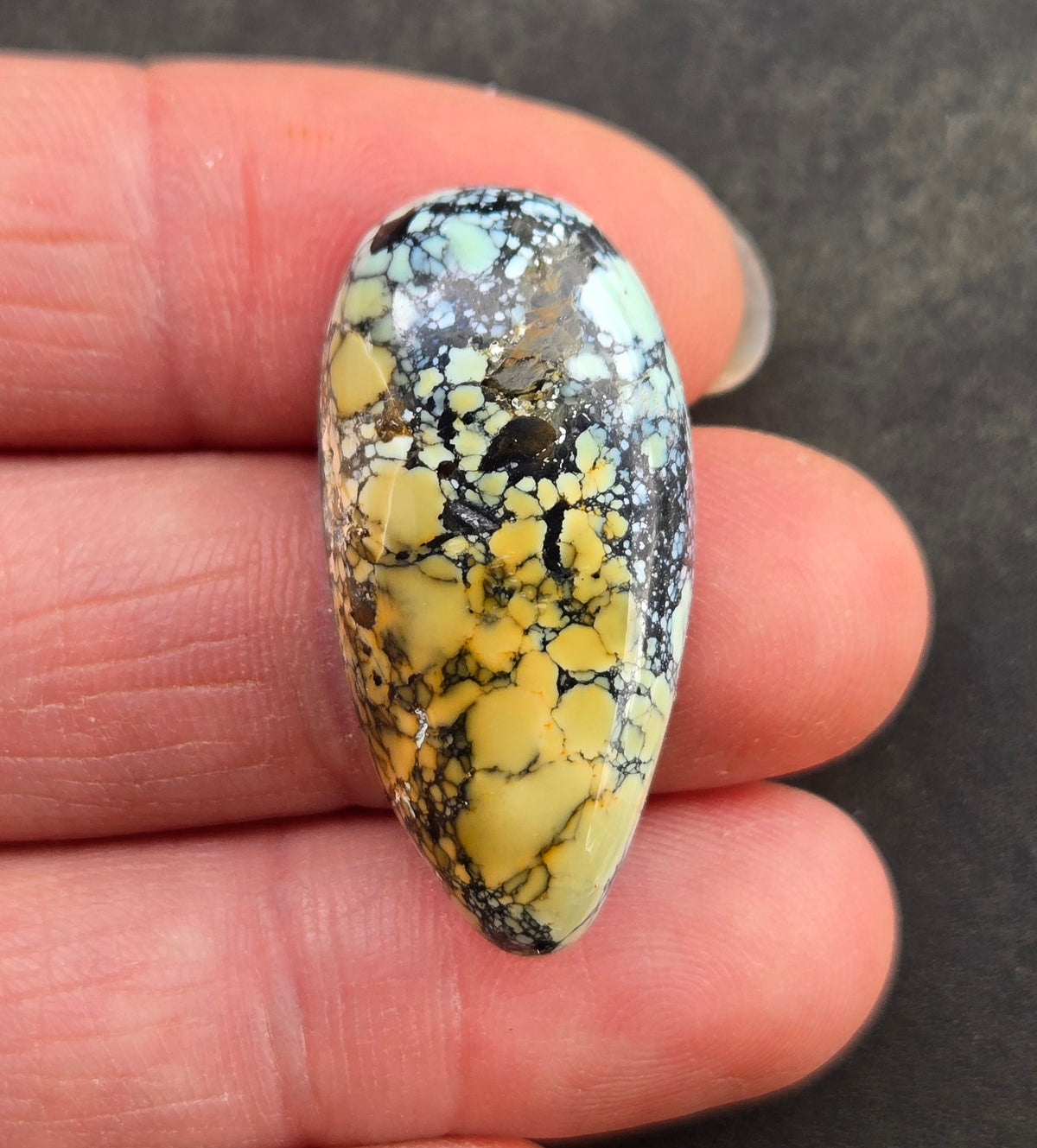 Gecko Variscite Cabochon