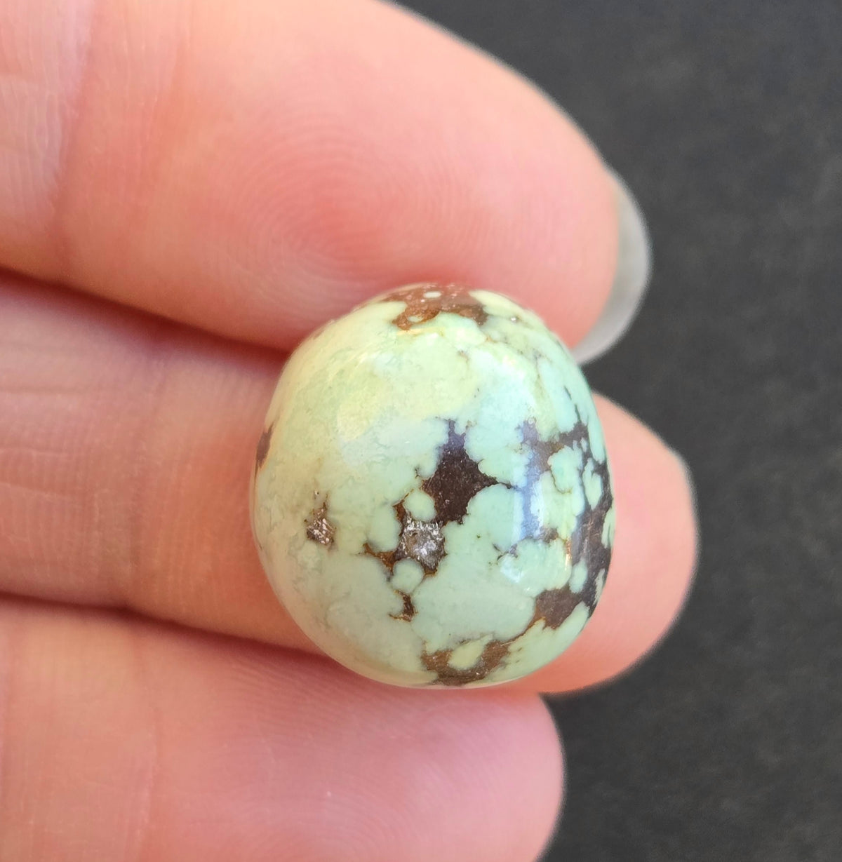 Damele Variscite Nugget Cabochon
