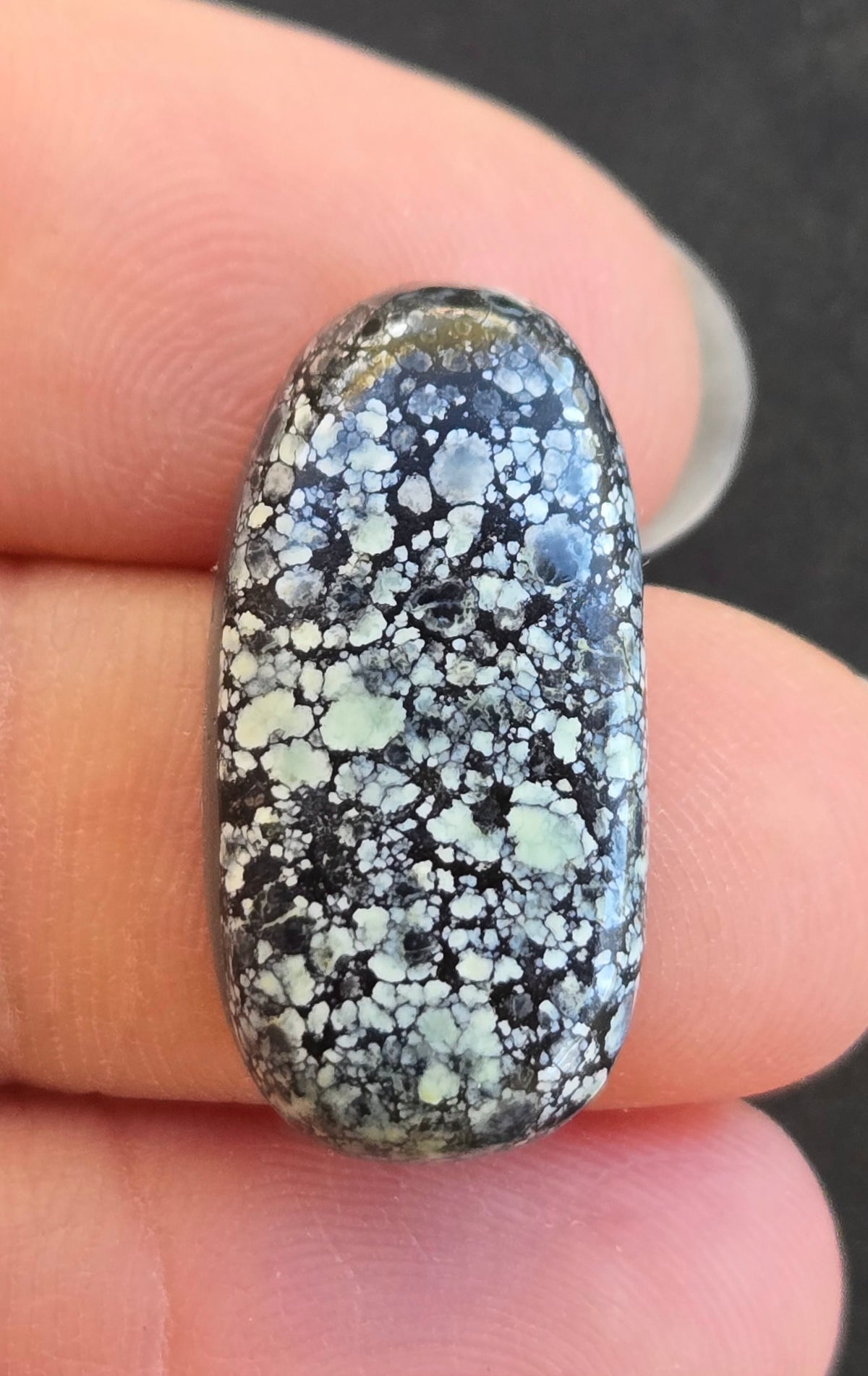 Desert Bloom Variscite Cabochon