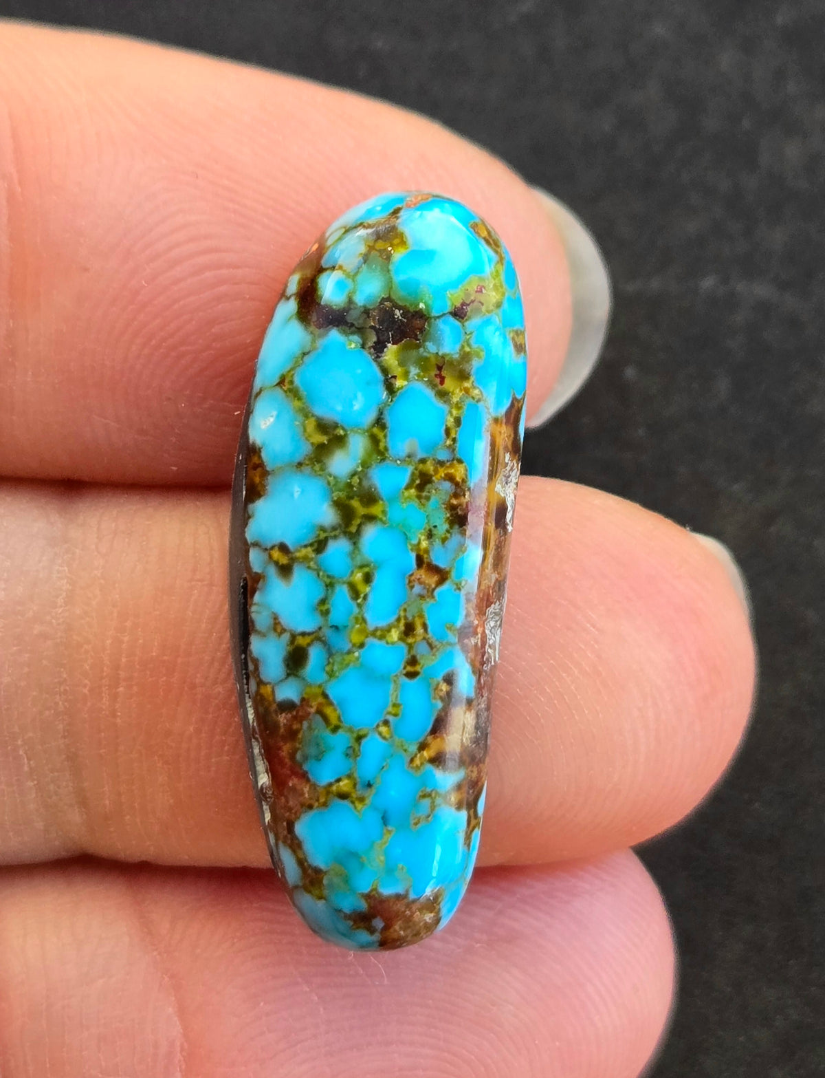 AAA Spiderweb Polychrome Kingman Turquoise Cabochon