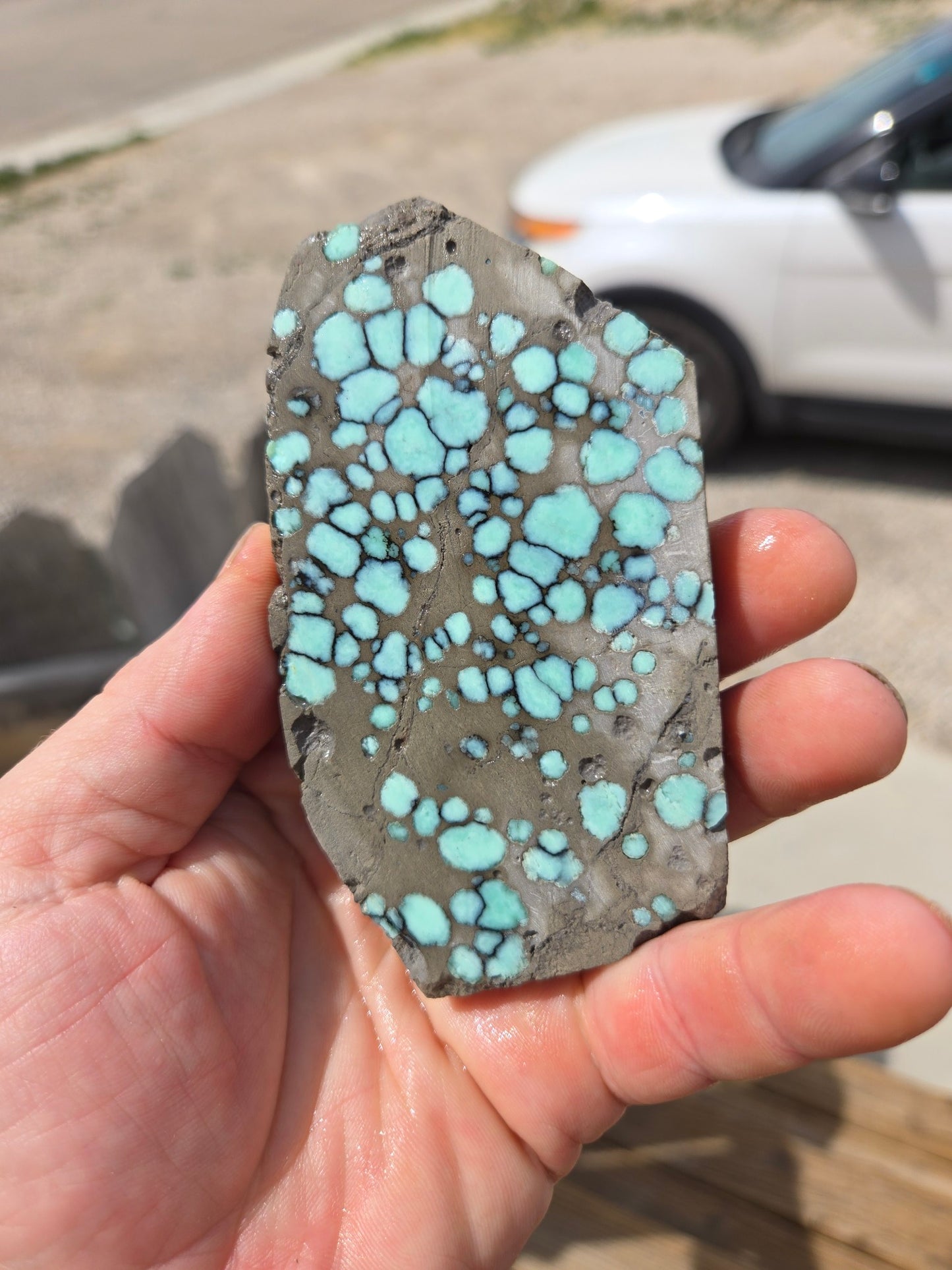 Desert Bloom Variscite/Turquoise rough for cabbing - Nevada Variscite -115 grams