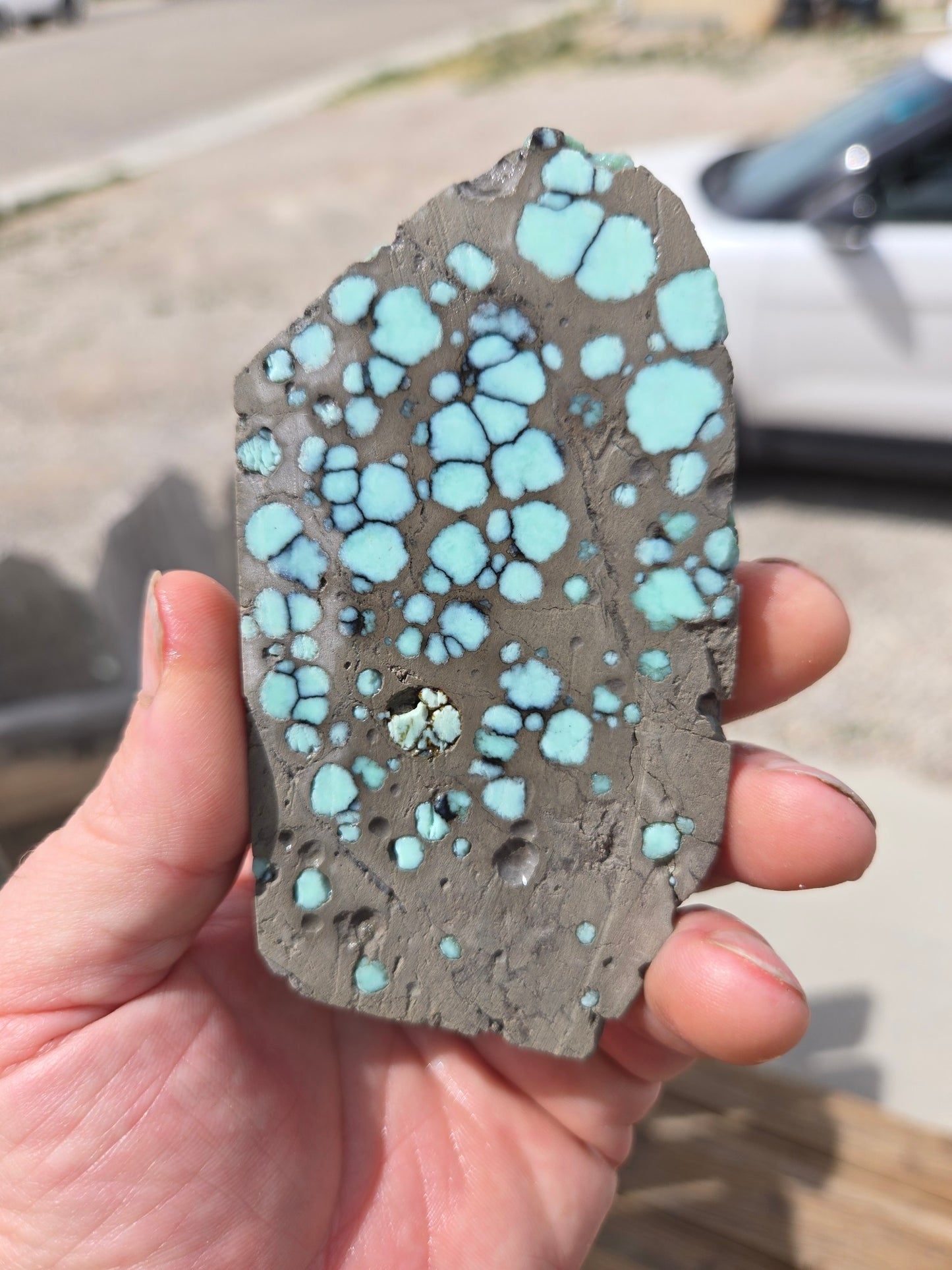 Desert Bloom Variscite/Turquoise rough for cabbing - Nevada Variscite -115 grams