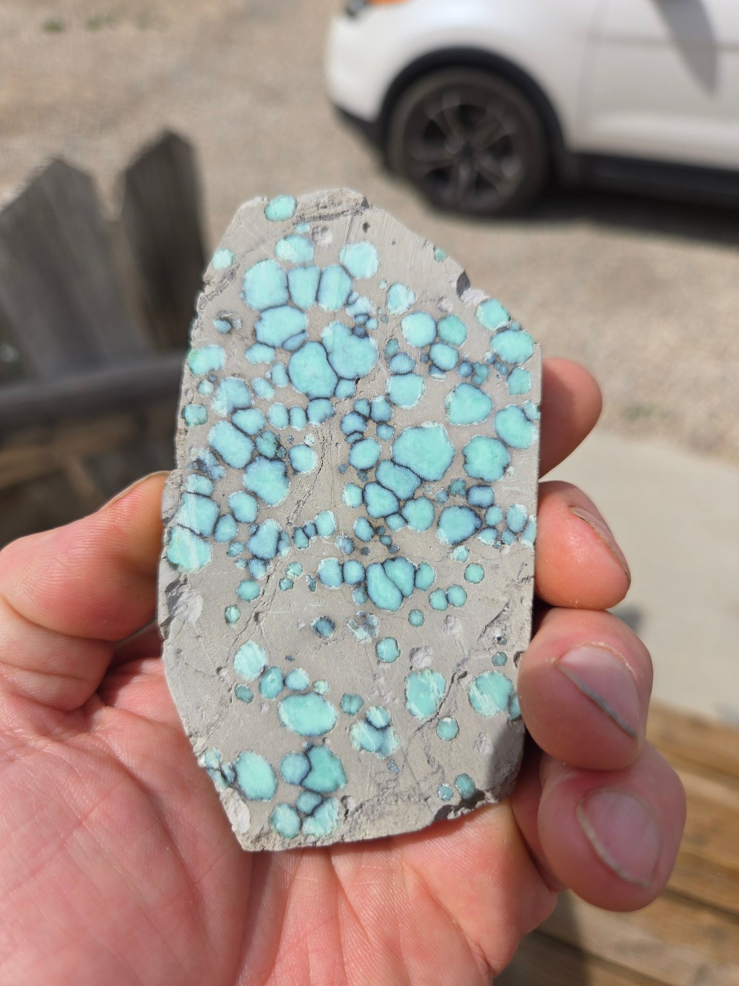 Desert Bloom Variscite/Turquoise rough for cabbing - Nevada Variscite -115 grams