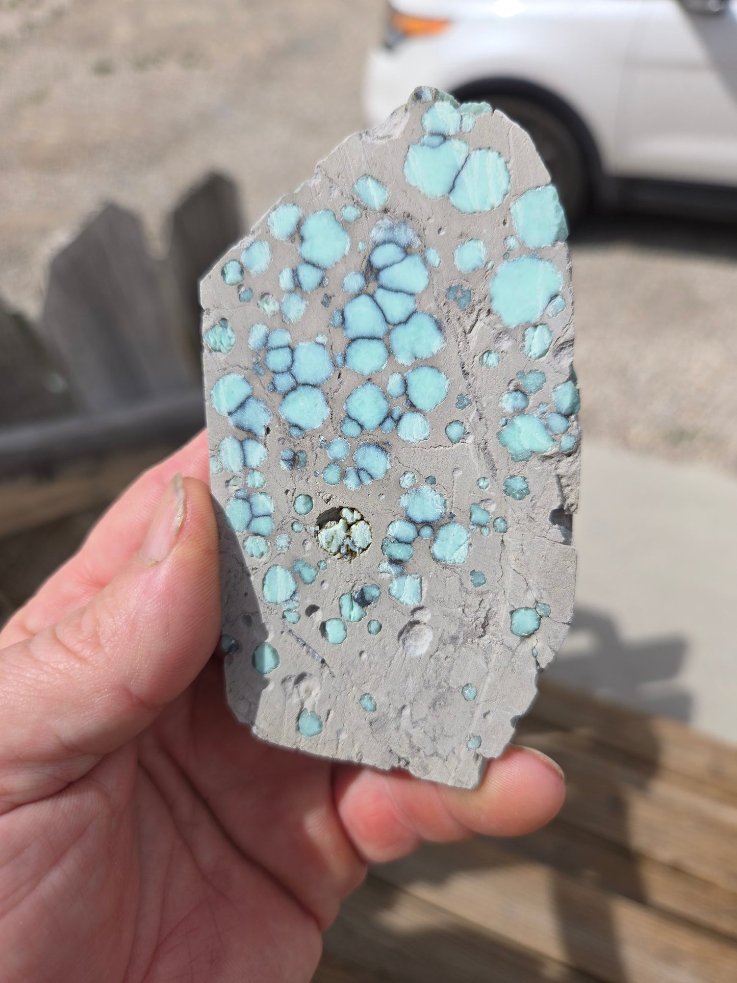 Desert Bloom Variscite/Turquoise rough for cabbing - Nevada Variscite -115 grams