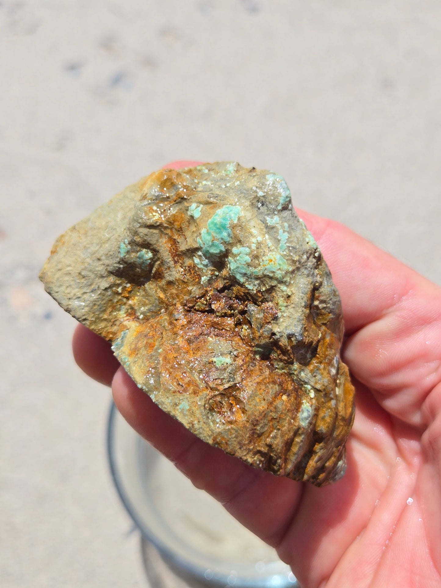 Candelaria Hills Variscite Clams - rough for cabbing - 224 gram lot