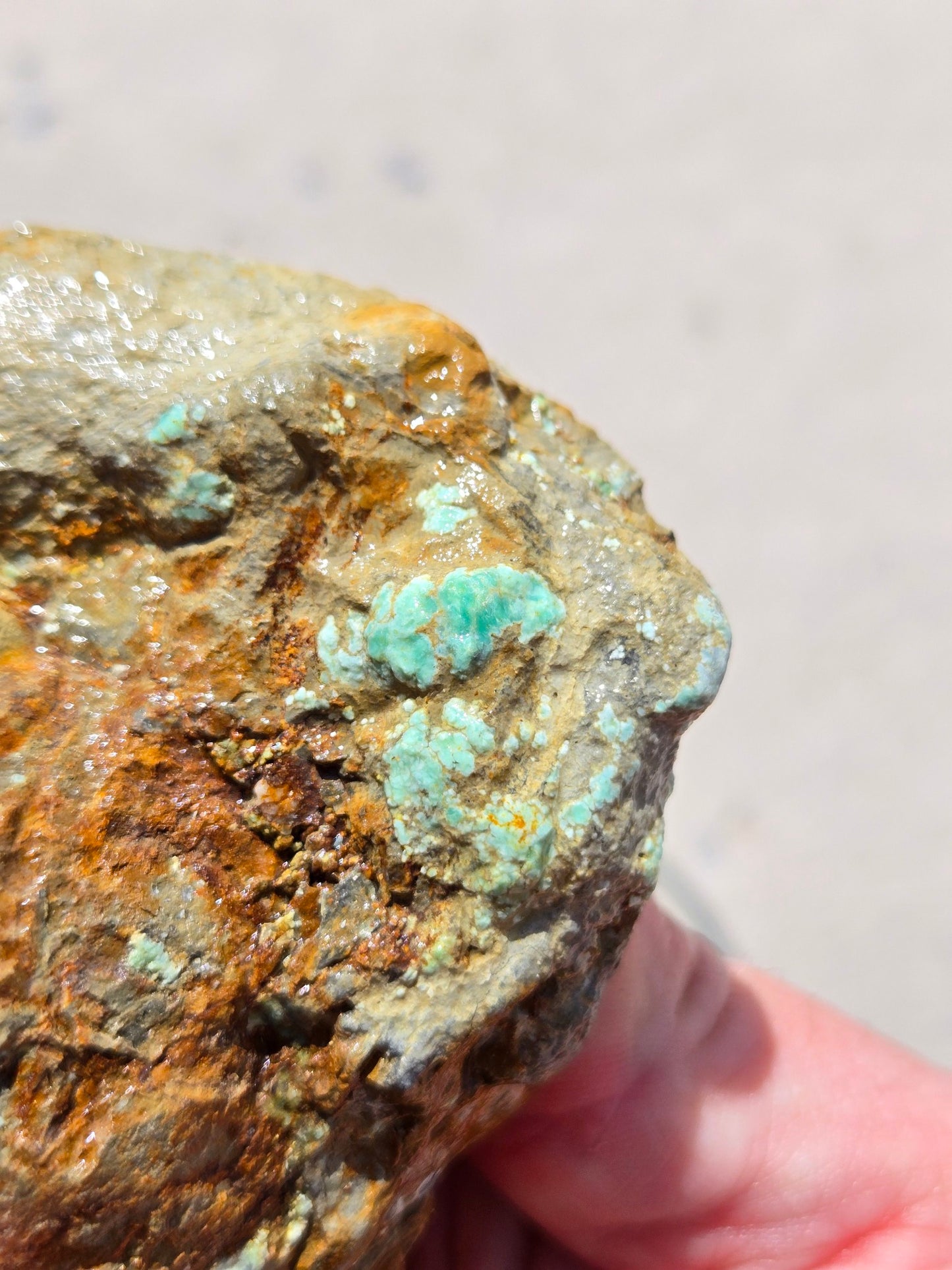 Candelaria Hills Variscite Clams - rough for cabbing - 224 gram lot
