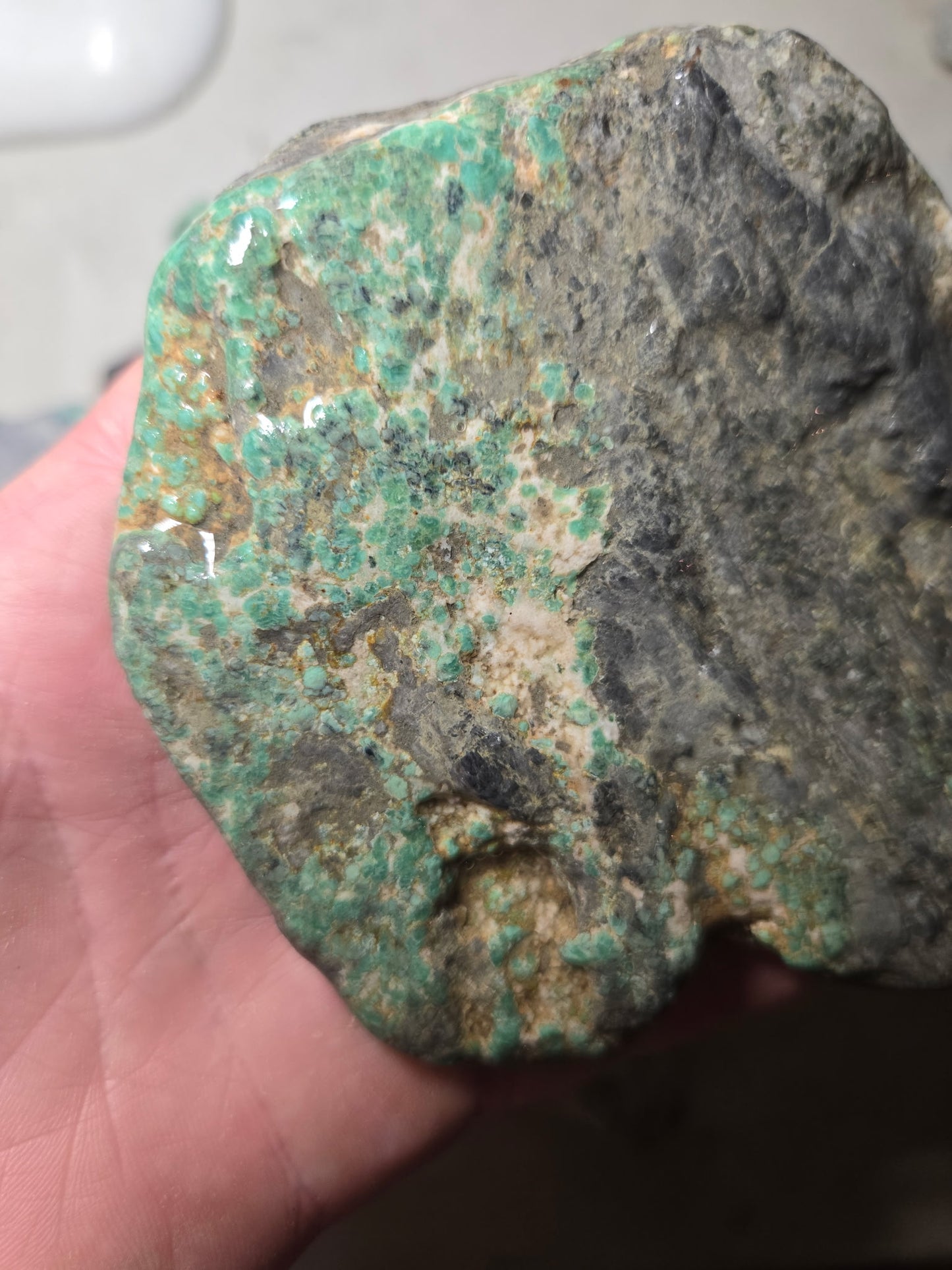 Blue Boy Variscite/Turquoise rough for cabbing - Natural Nevada Variscite - 1000 gram lot 2