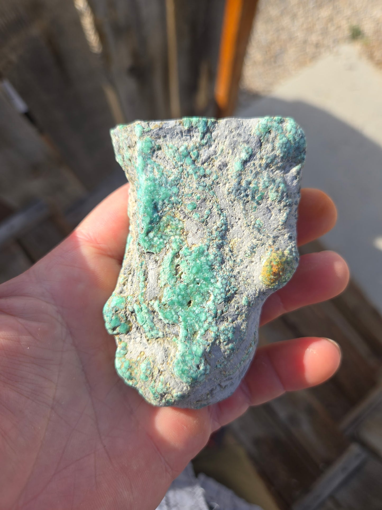 Blue Boy Variscite/Turquoise rough for cabbing - Natural Nevada Variscite - 145 gram lot