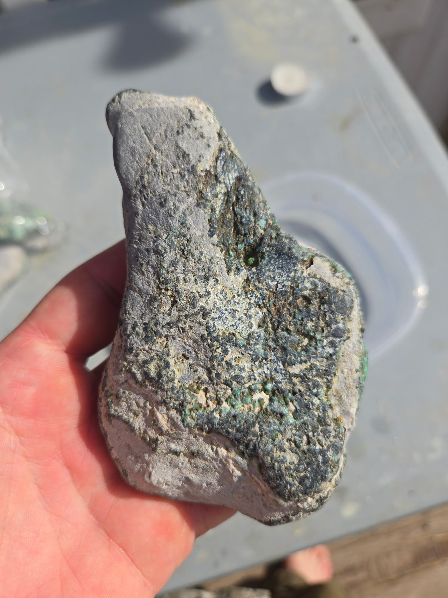 Blue Boy Variscite/Turquoise rough for cabbing - Natural Nevada Variscite - 206 gram lot
