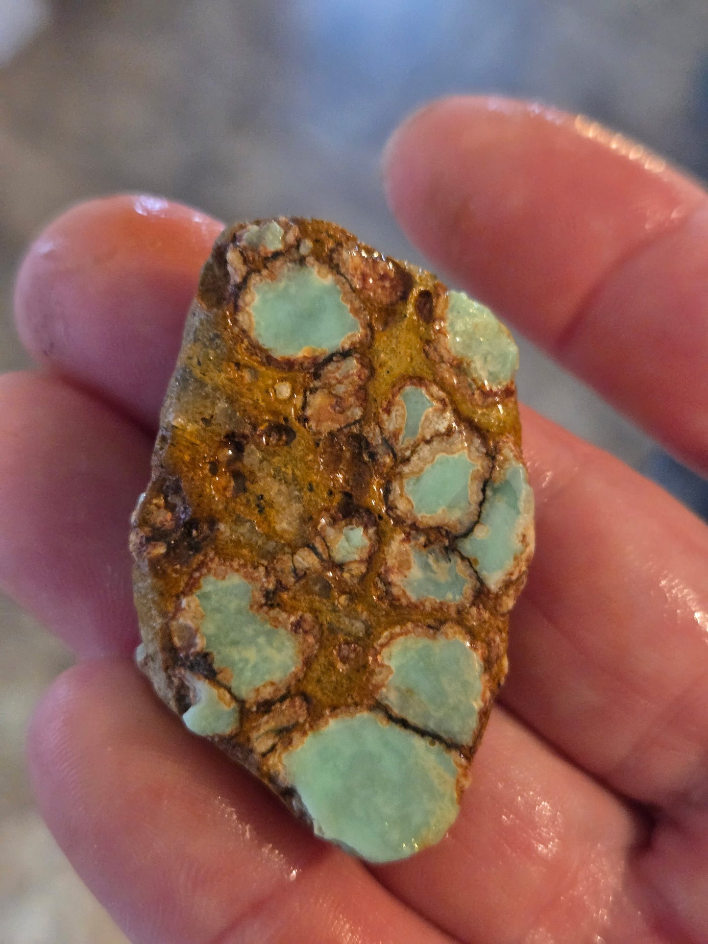 Custom for Michael - Seven Dwarfs Variscite Rough for Cabbing 19 gram lot