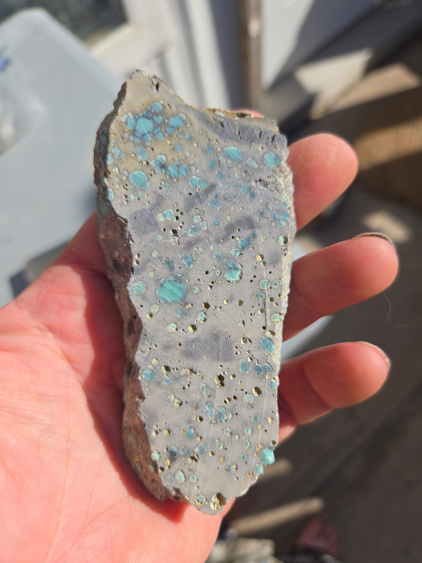Desert Bloom Variscite/Turquoise rough for cabbing - Nevada Variscite -89 grams