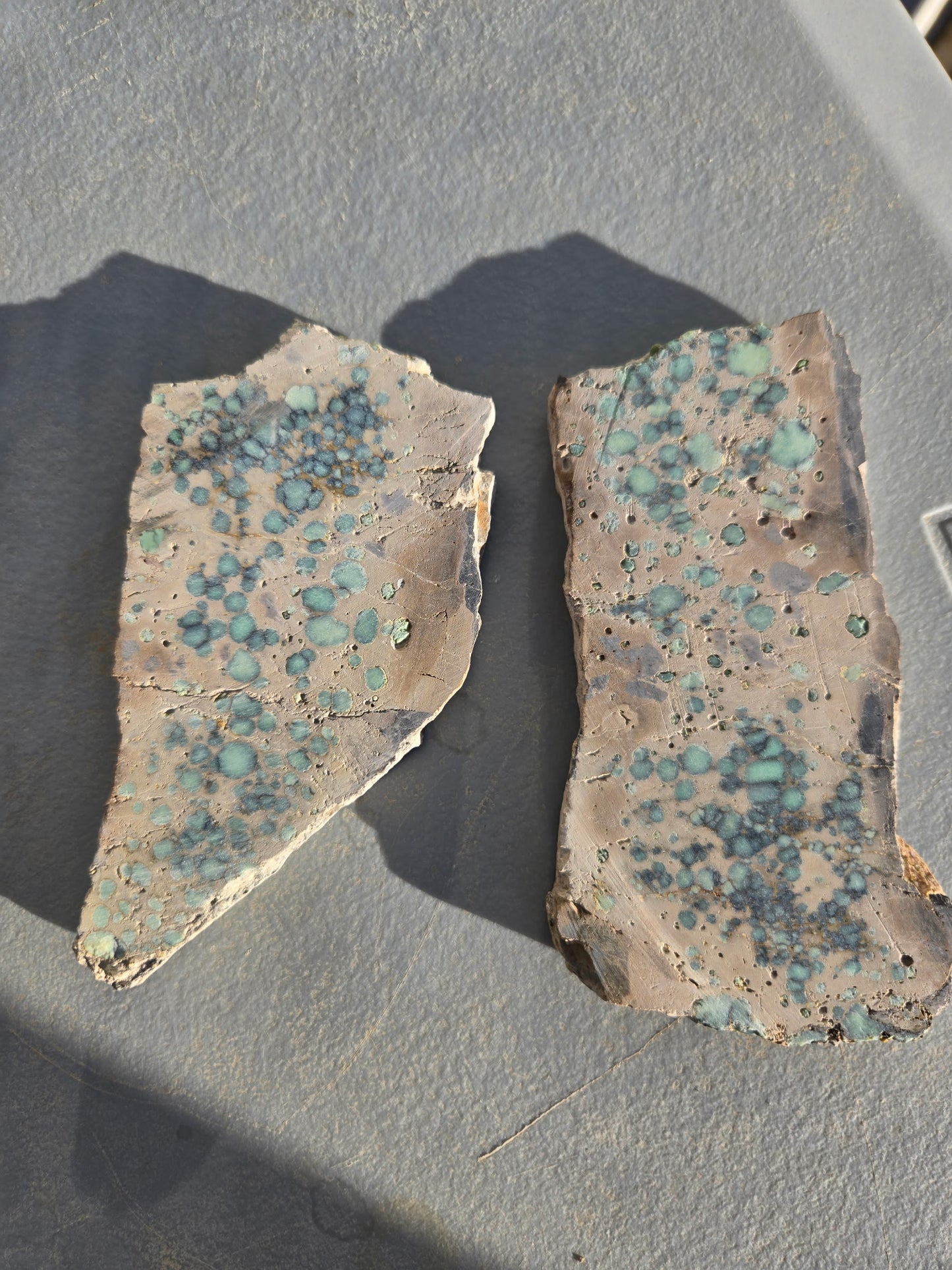 Desert Bloom Variscite/Turquoise rough for cabbing - Nevada Variscite -200 grams