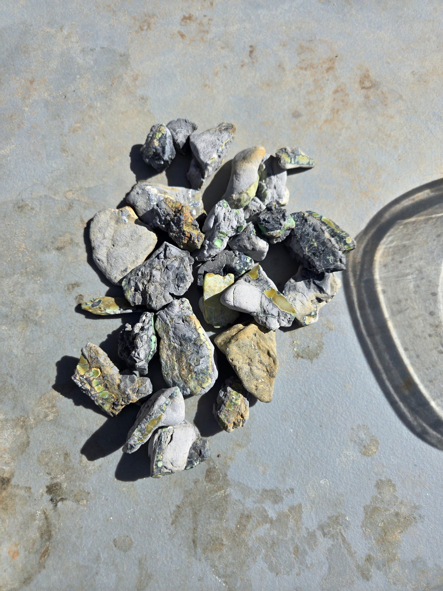 Custom for Michael - Nautilus Variscite/Turquoise rough for cabbing - Natural Nevada Variscite - 448 gram lot